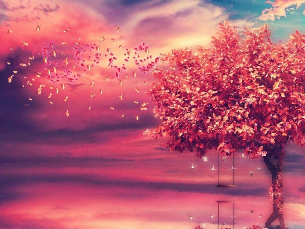 Other: Nature Love Tree Swing Wind Background Image for HD 16:9