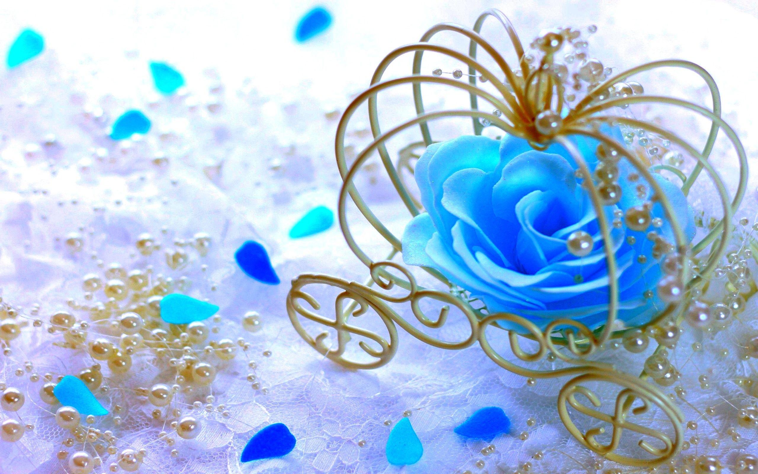 Flowers: Rose Color Pearls Precious Flower Cyan Wallpaper HD for HD