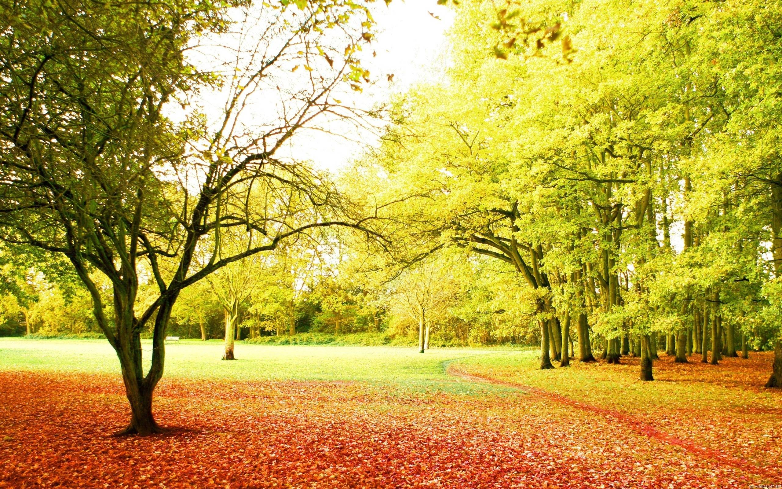 Photos: Background Nature HD Image, ART GALLERY