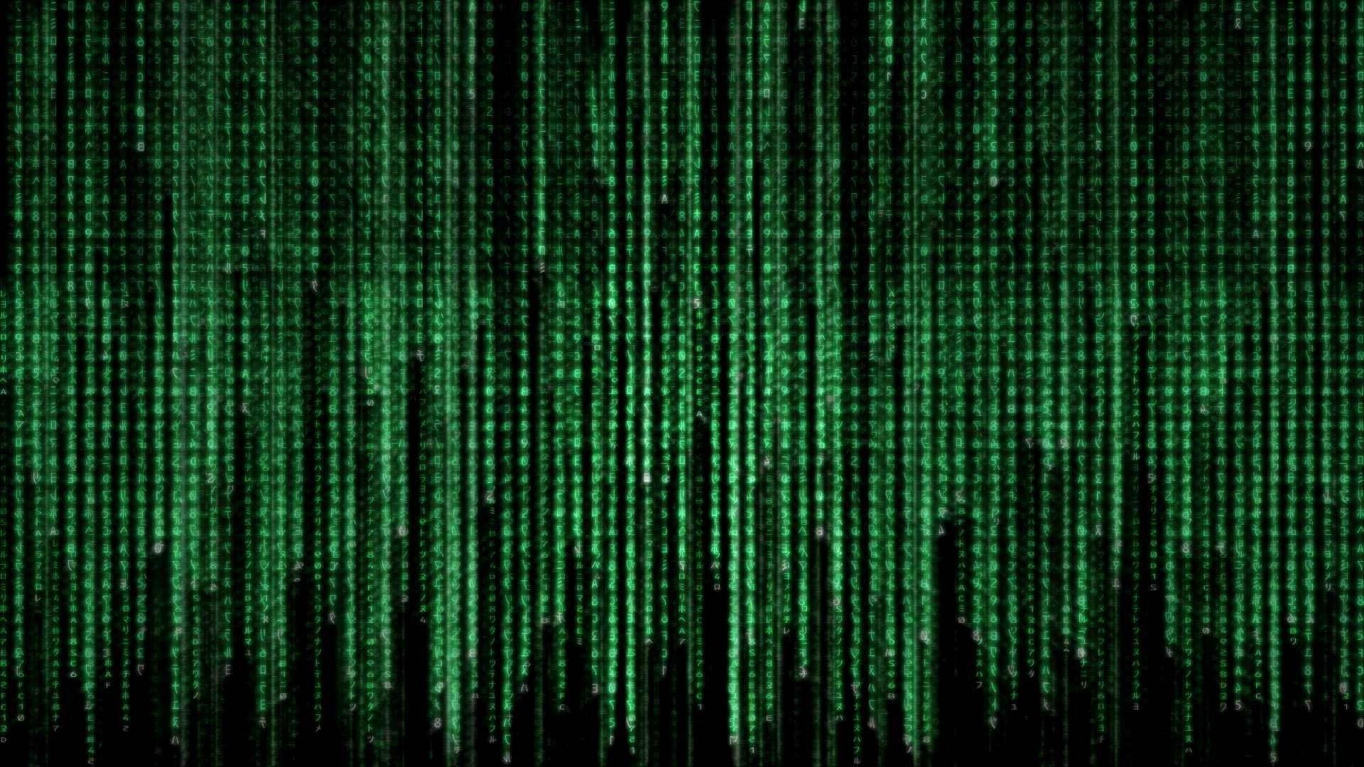 The matrix Binary HD Wallpaper, Desktop Background, Mobile 1920x1080