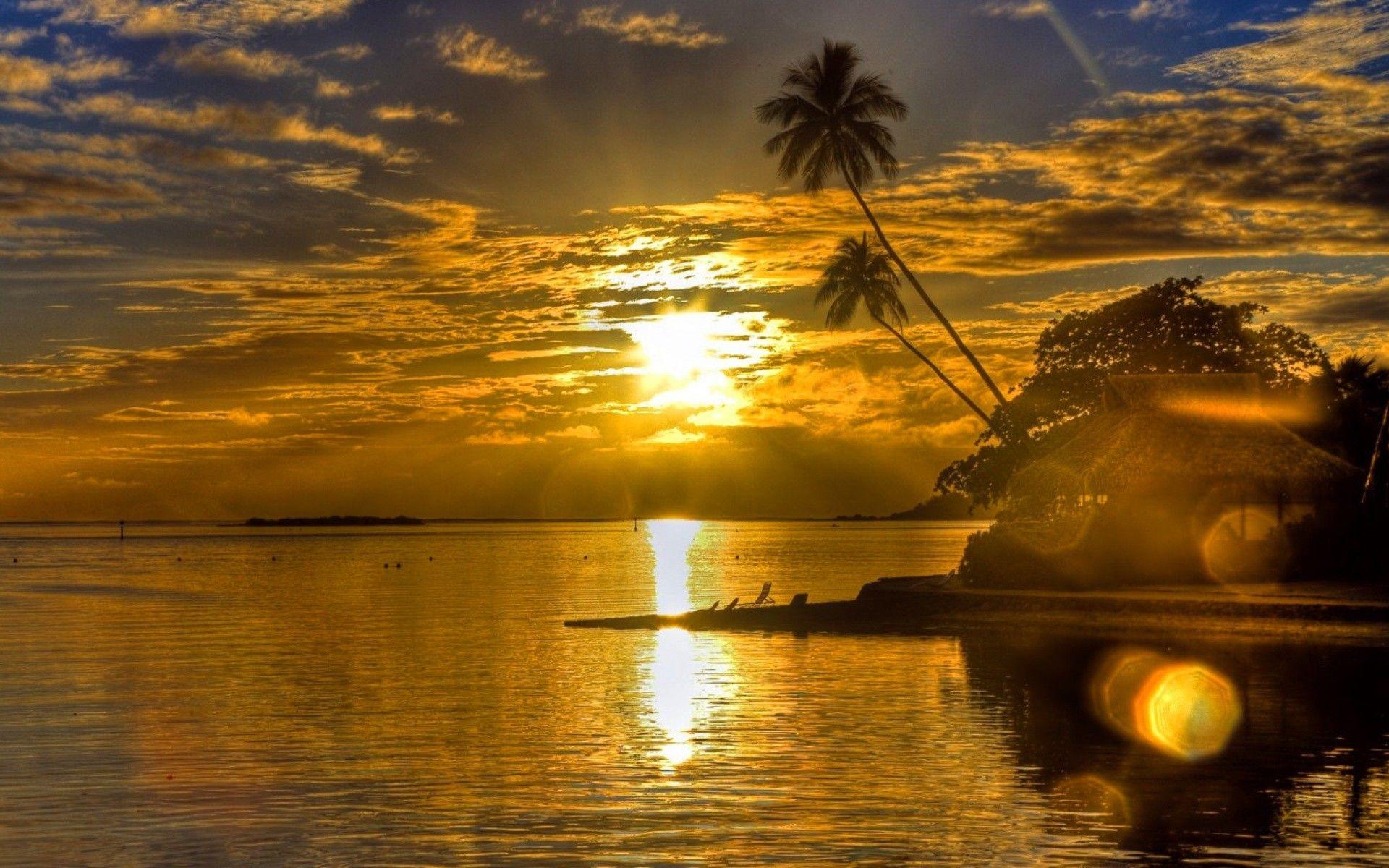 Sunsets: Hut Tropics Sea Wonderful Sunset Beams Shore Trees