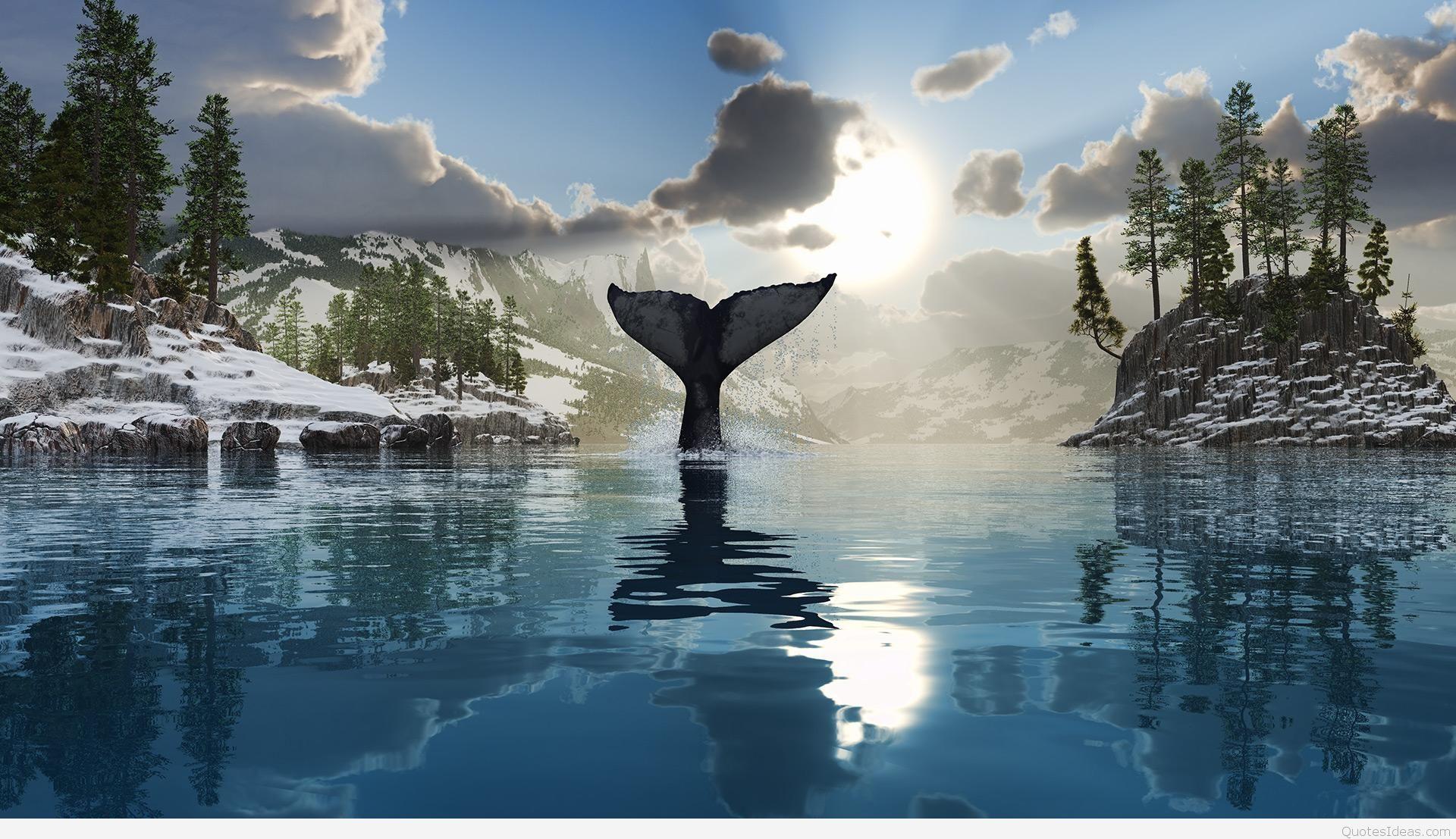 goodbye summer wallpaper