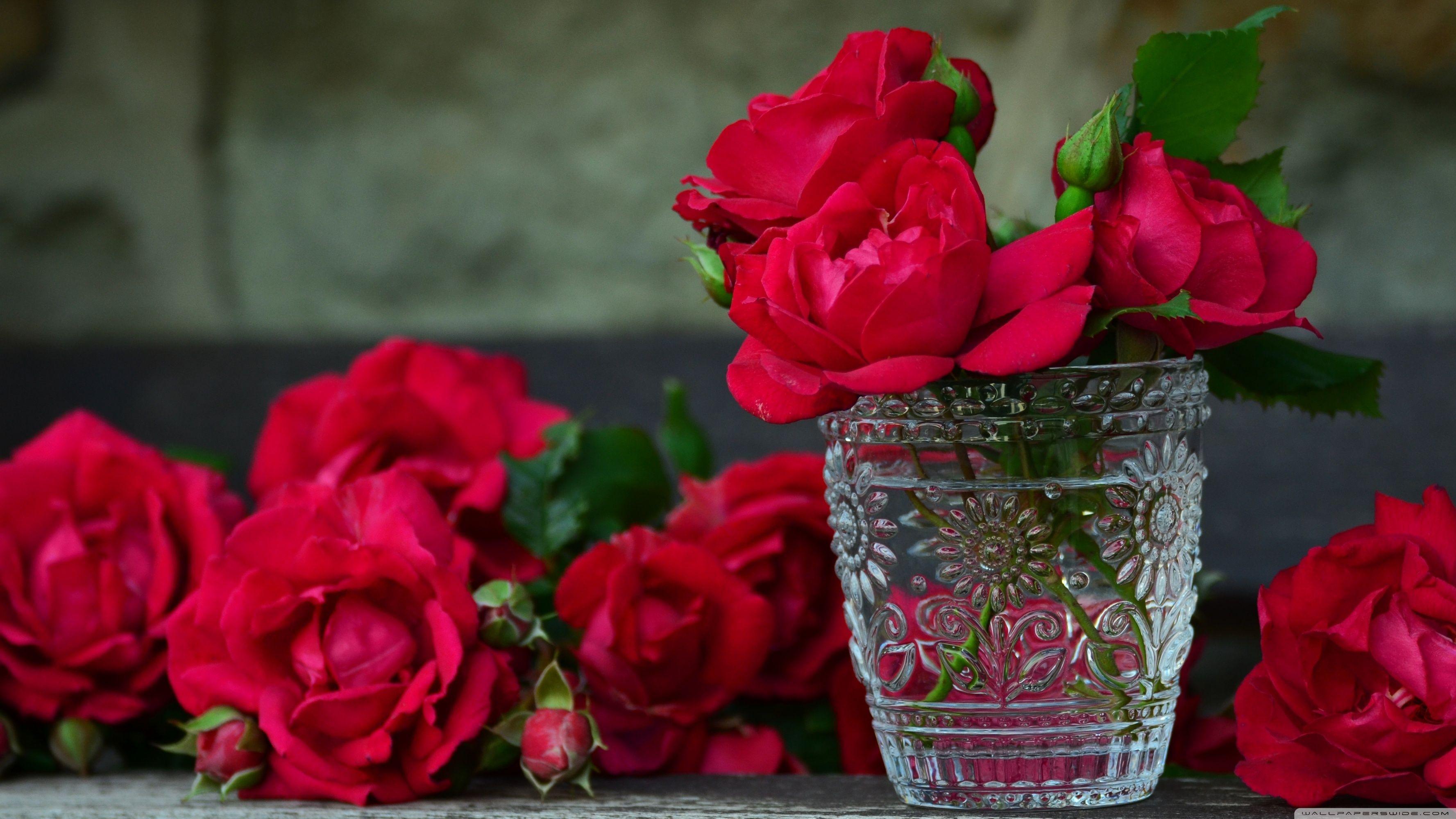 Fresh Red Roses in a Vase ❤ 4K HD Desktop Wallpaper for 4K Ultra HD