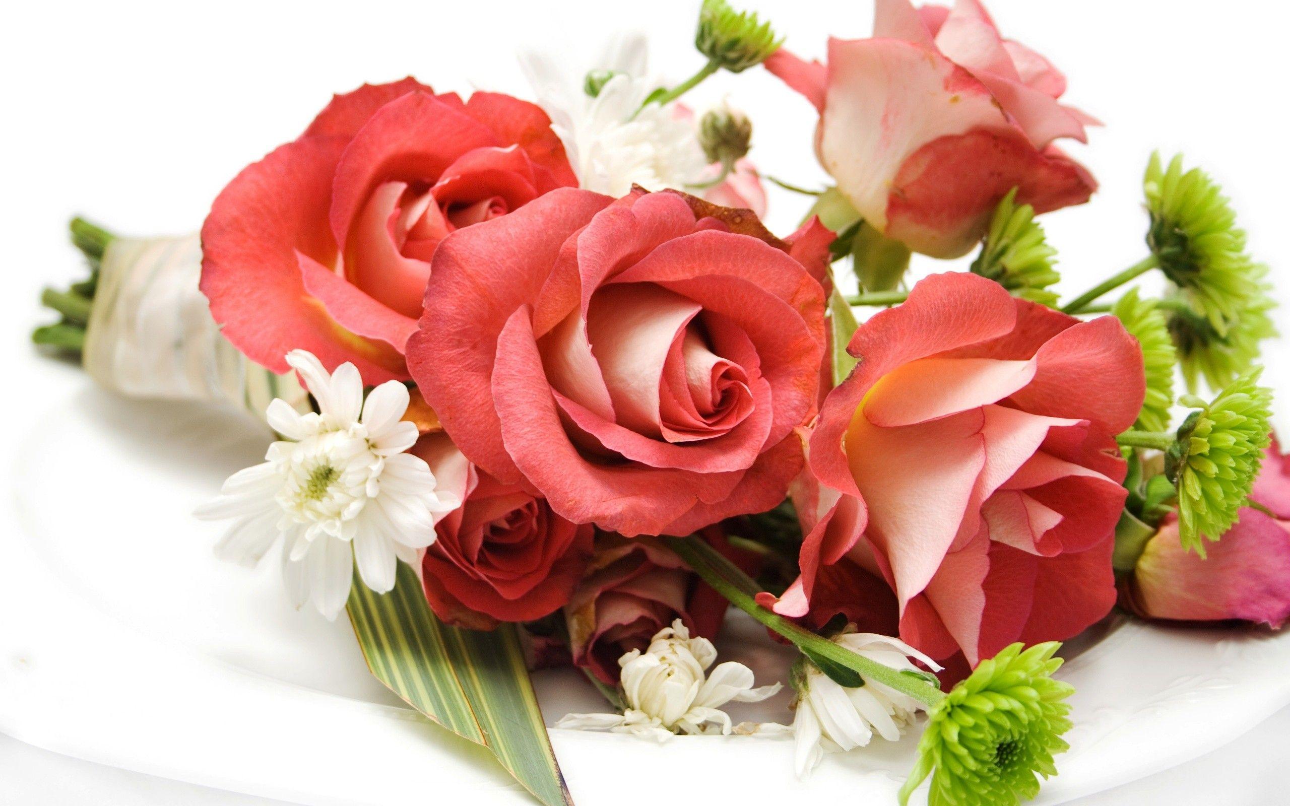 Flowers: Nice Fresh Roses Lovely Rose HD Flower Wallpaper For Mobile