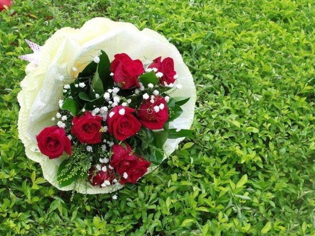 Flowers: Beautiful Grace Roses Flowers Bridal Red Forever Love