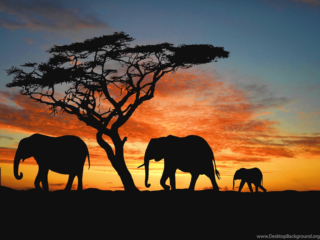 Family Of African Elephants Wallpaper. Elephant Desktop. Desktop