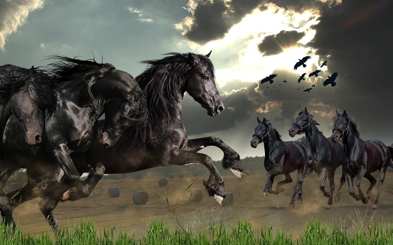 Wild Horses Wallpaper, Cool Wild Horses Background Superb