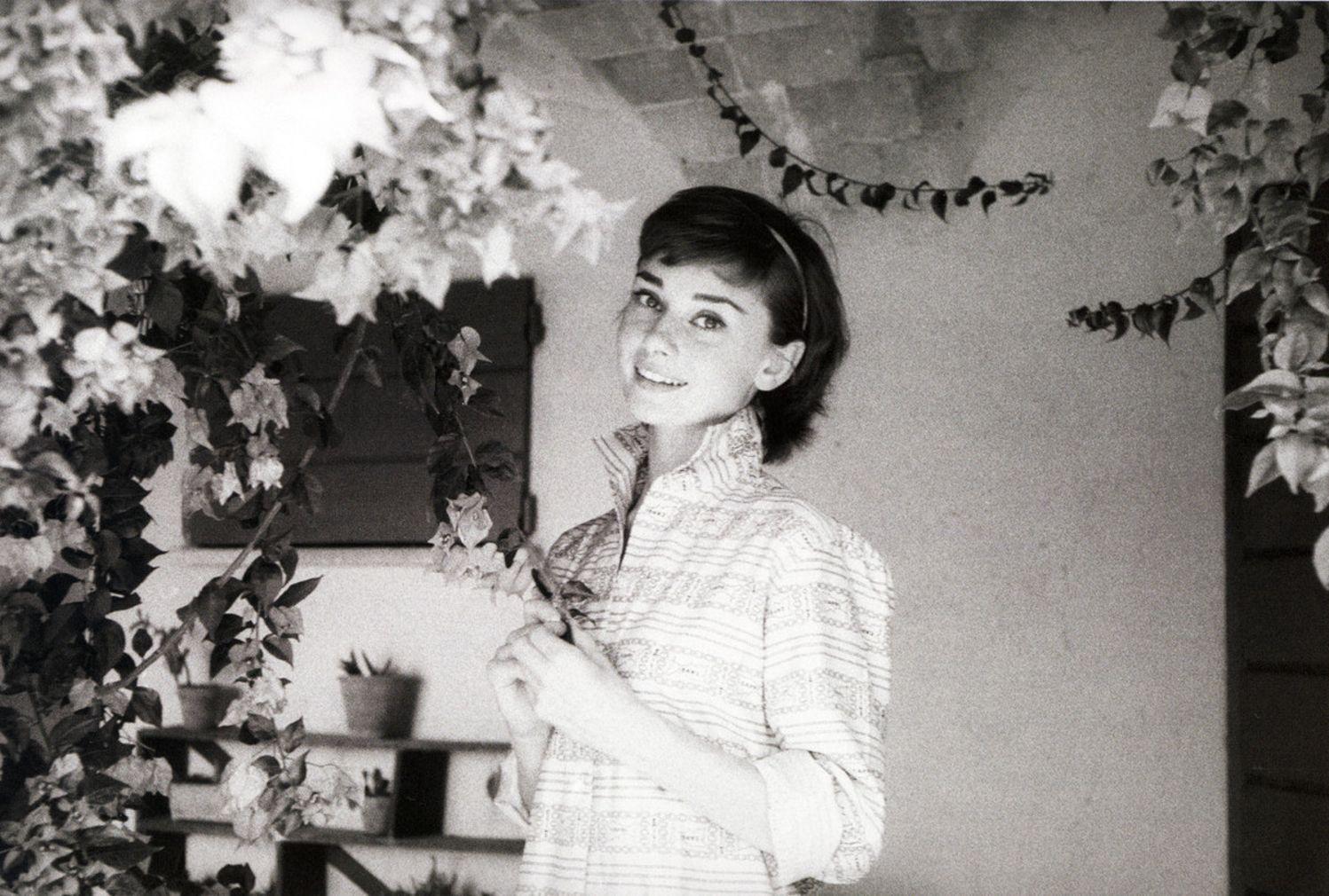 Audrey Hepburn Wallpaper and Background Imagex1010