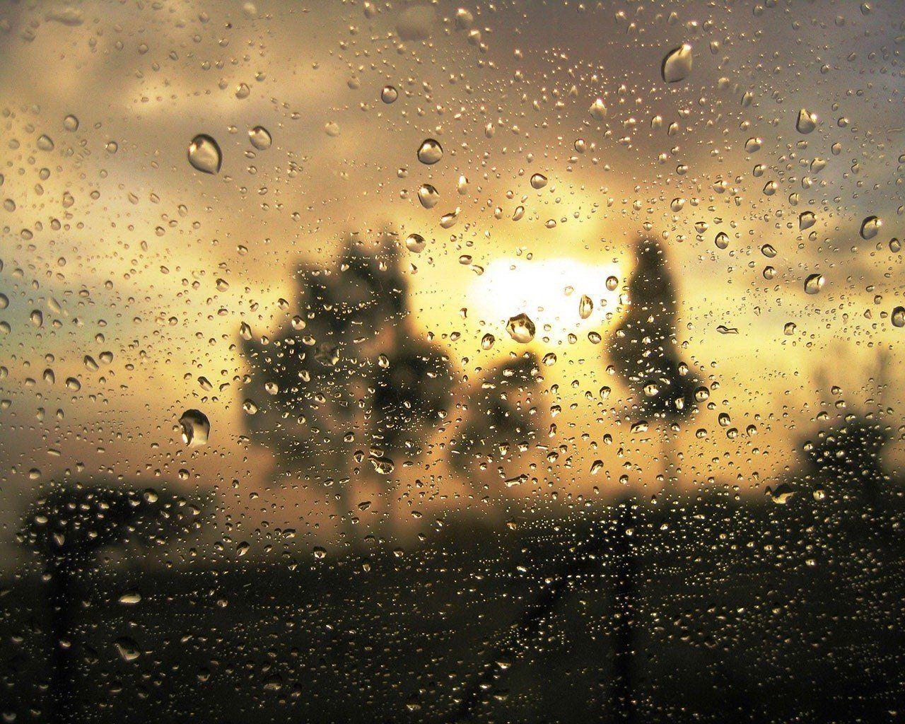 rain drops intimacy glass confusion gold HD wallpaper