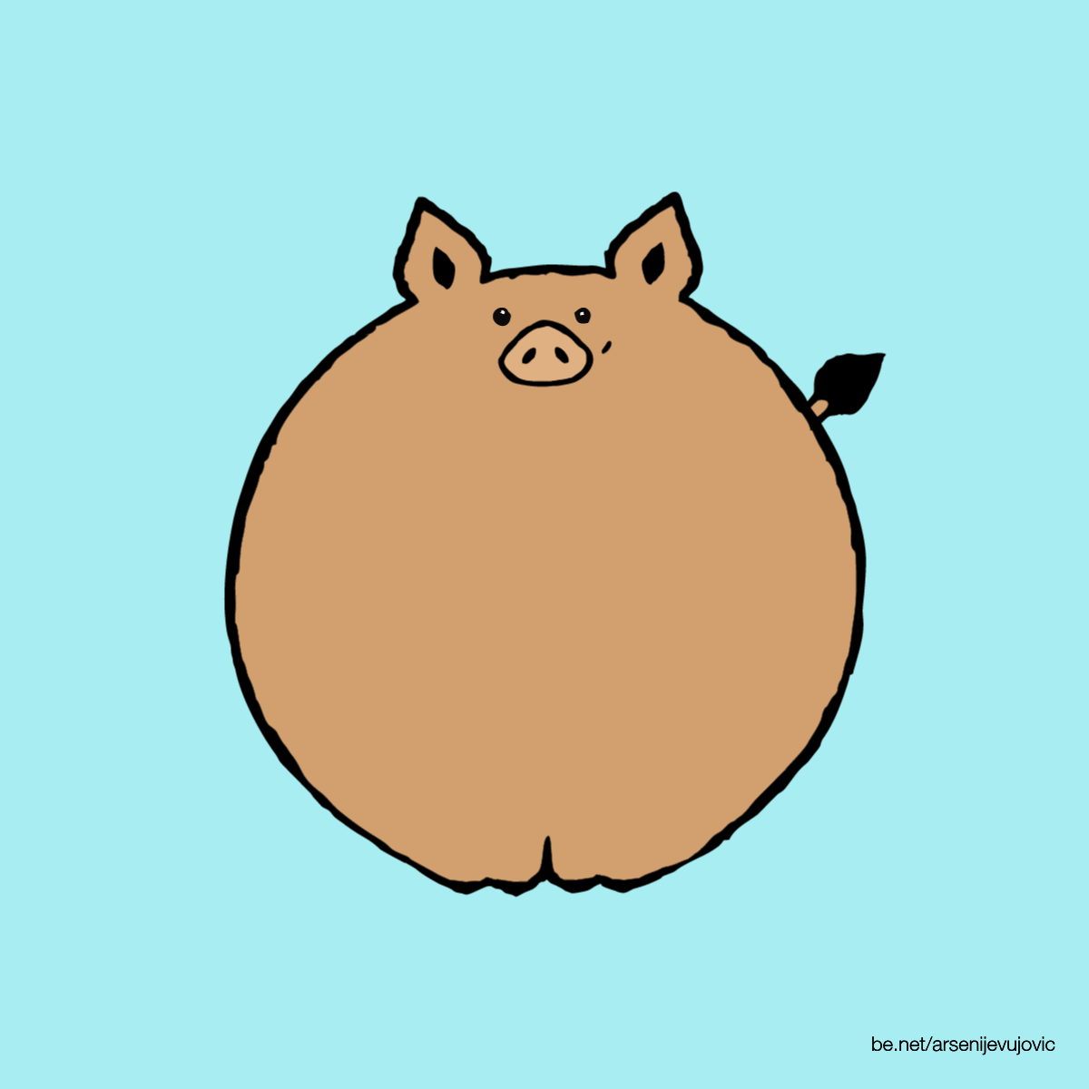Wild Pig GIFs the best GIF on GIPHY