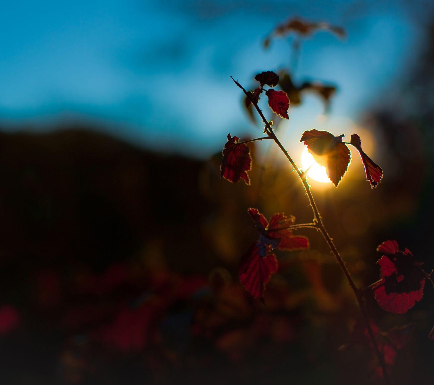 S3 Wallpapers HD - Wallpaper Cave