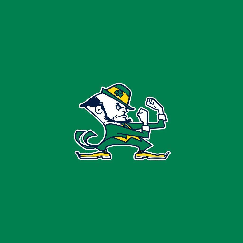 Notre Dame fighting Irish. My football favorites!