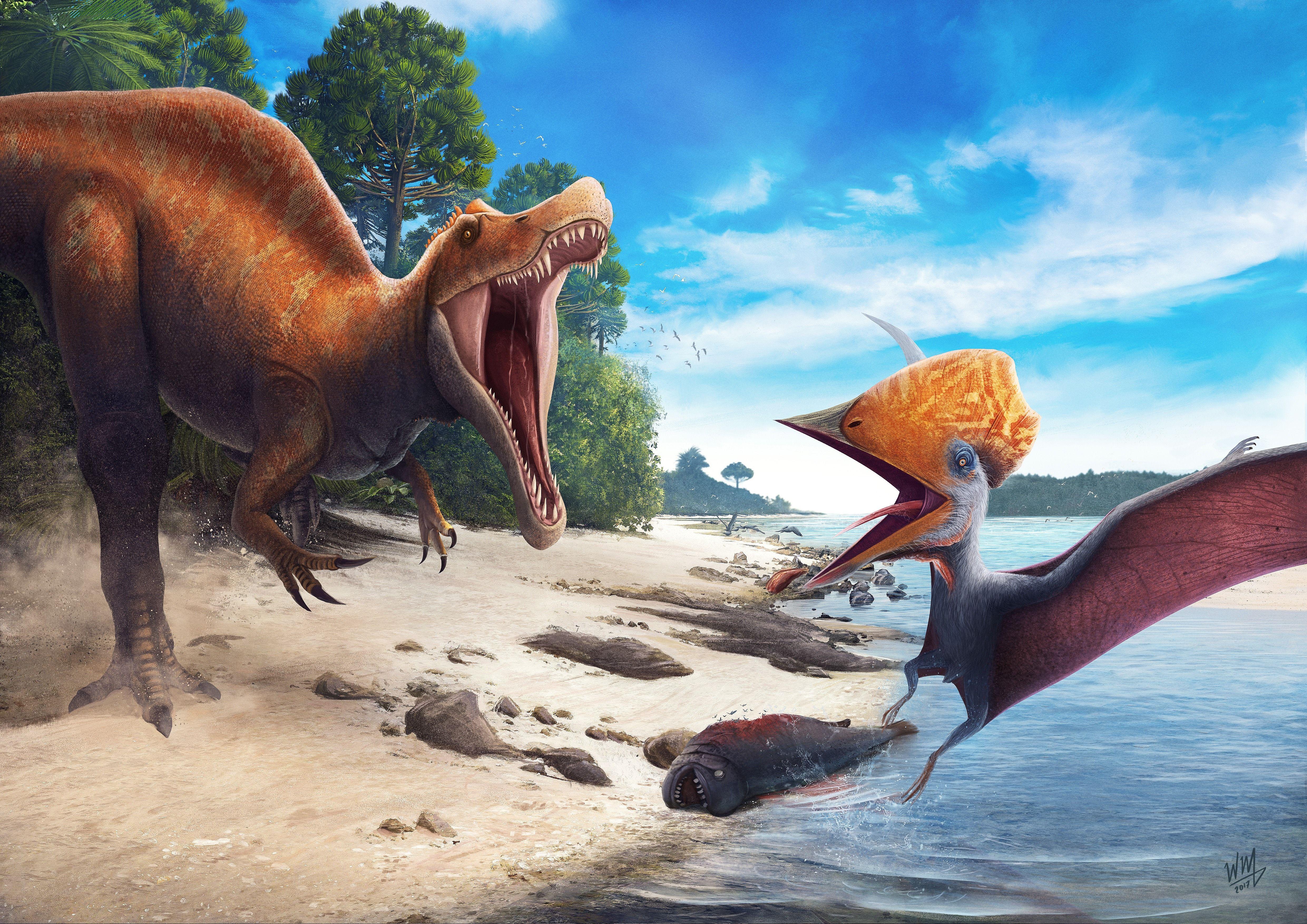 Download 8 Dinosaur Wallpaper