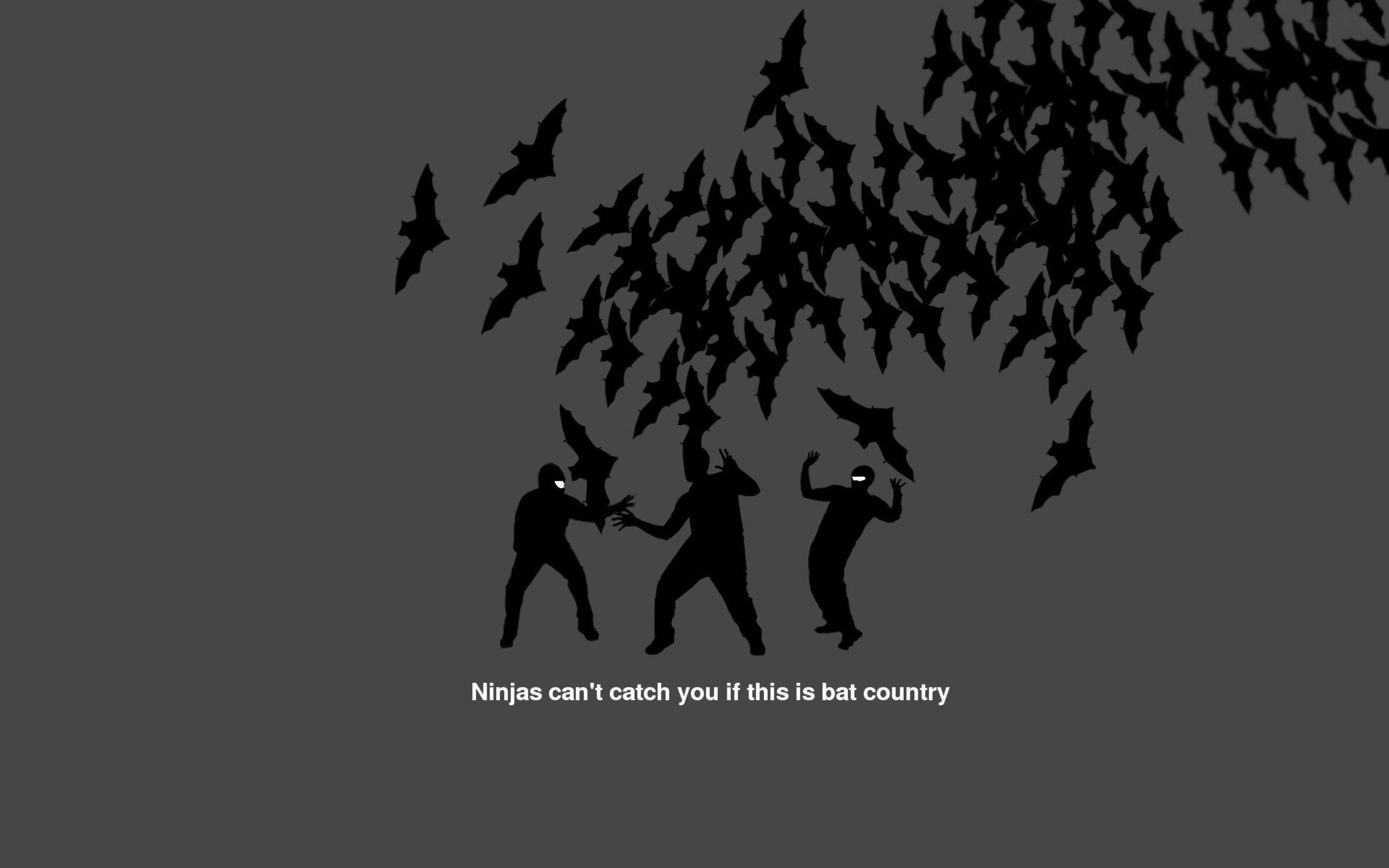 Memes Wallpaper Memes Wallpaper Background