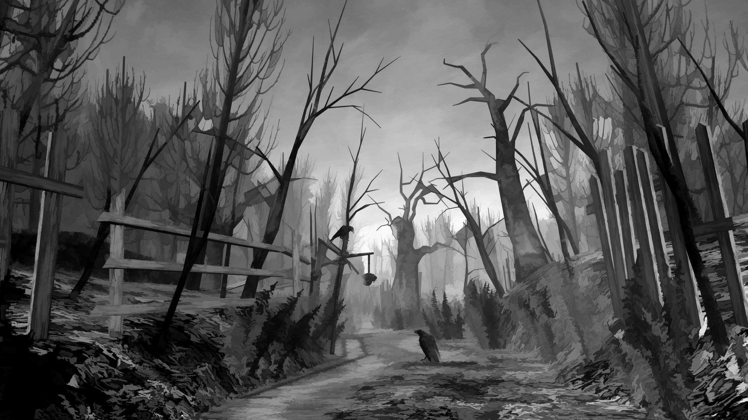 Scary Background Wallpaper 2560×1440 Creepy Forest Background (35 Wallpaper). Adorable Wallpaper. Scary background, Creepy background, Forest wallpaper