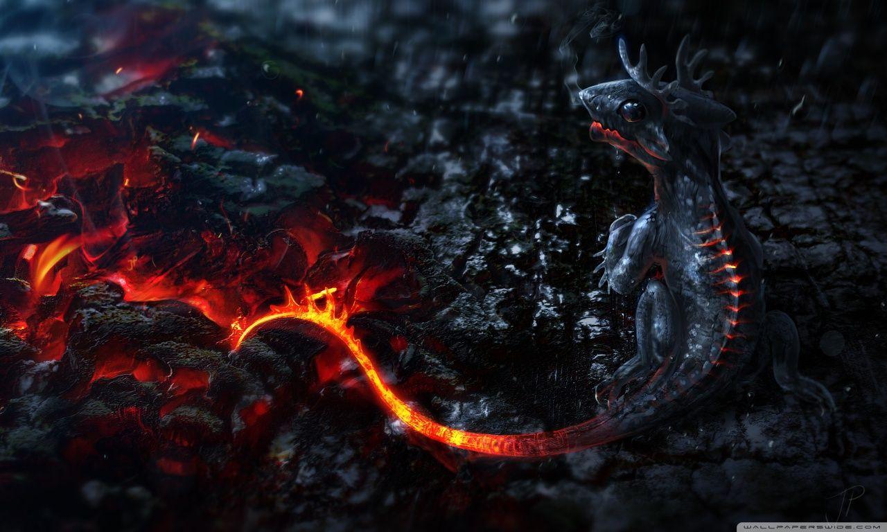 Salamander Artwork ❤ 4K HD Desktop Wallpaper for 4K Ultra HD TV