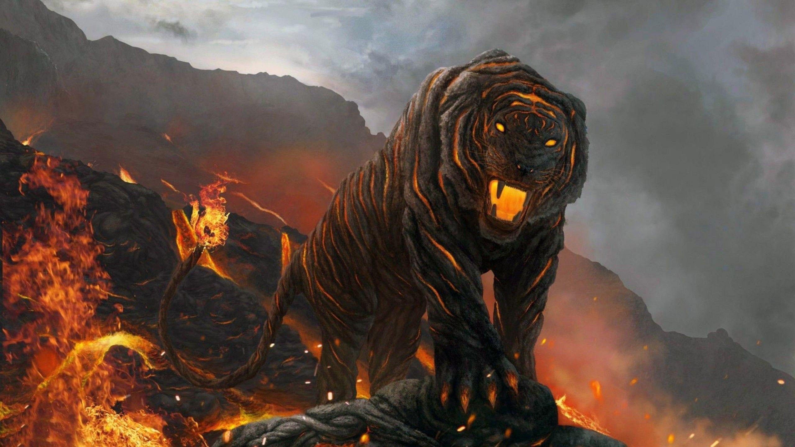 lava tiger 2560x1440 Wallpaper with HD resolution