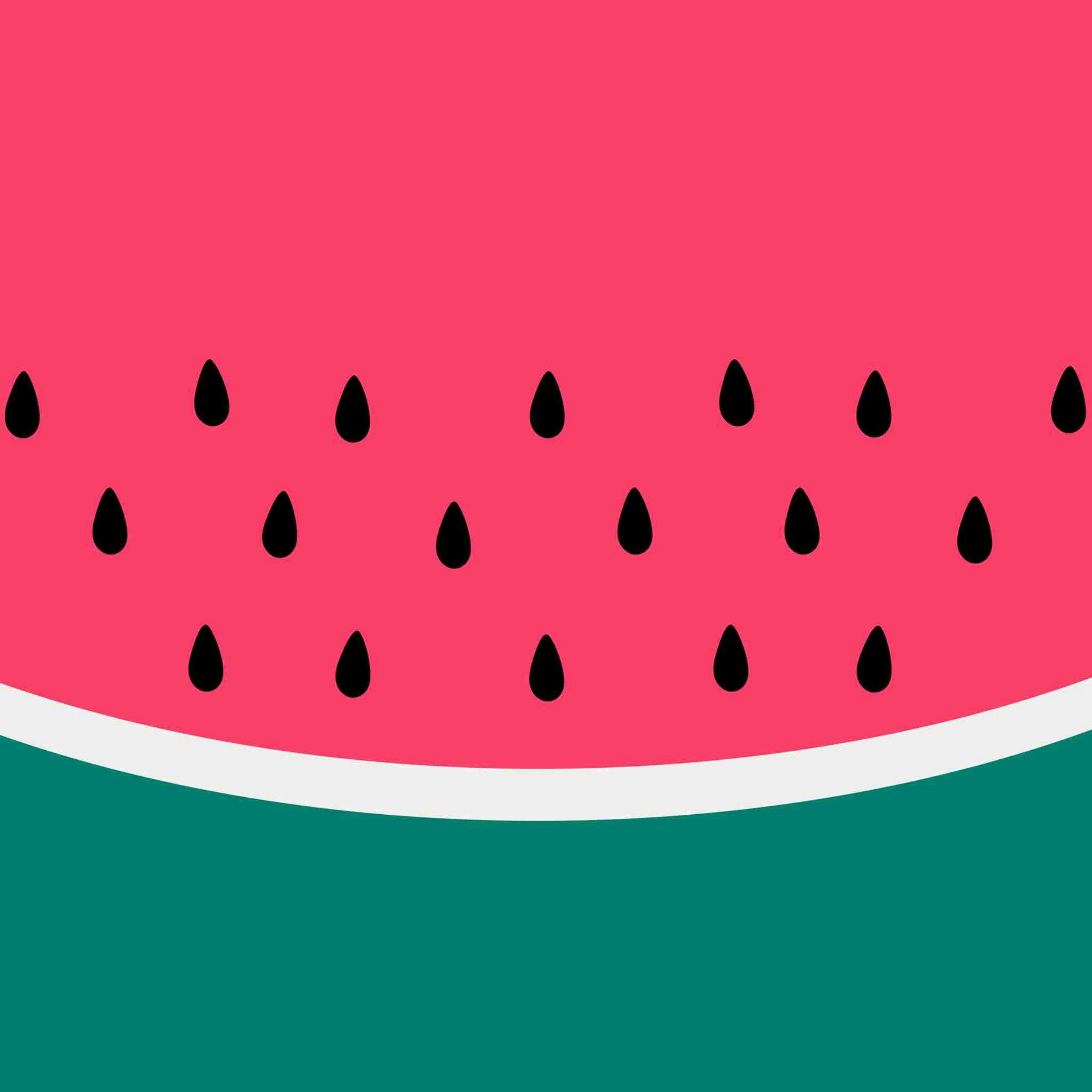 Watermelon Vector QHD Wallpaper
