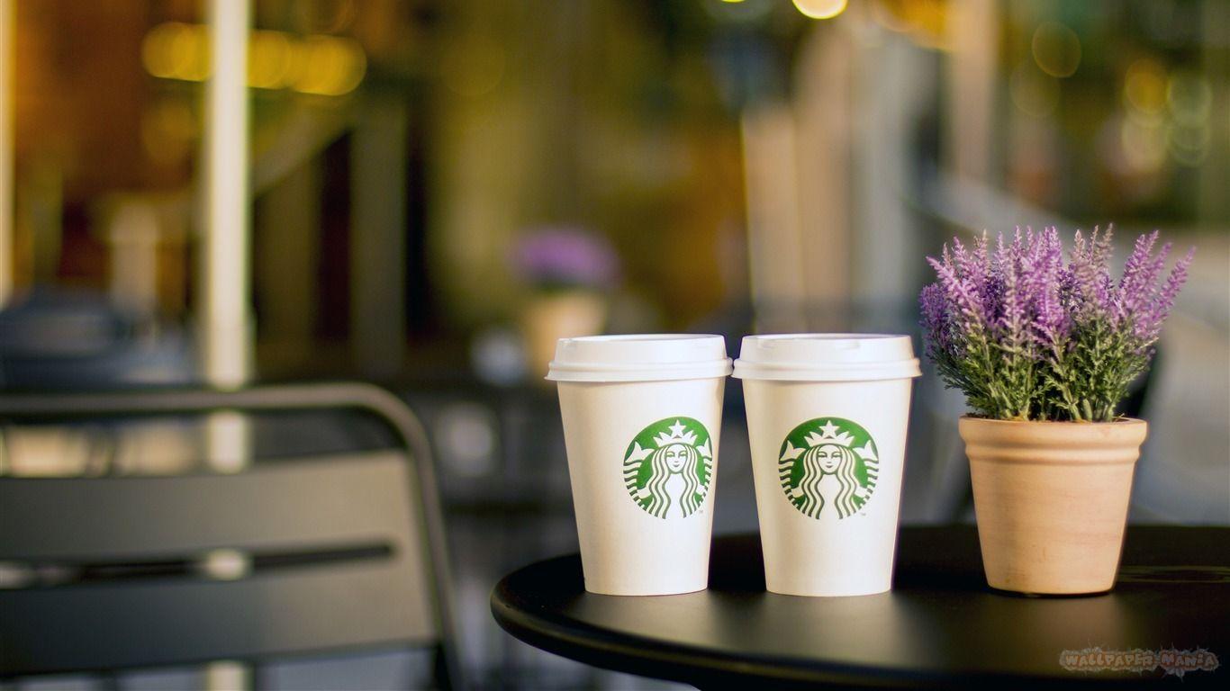 Starbucks Coffee Cup Purple Flowers Plant 1366×768 Wallpaper