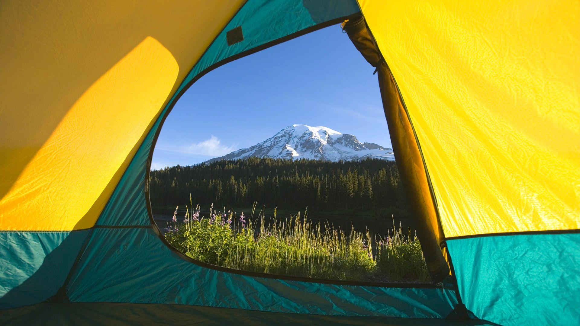 Tent View, Mount Rainier National Park, Washington Full HD Wallpaper