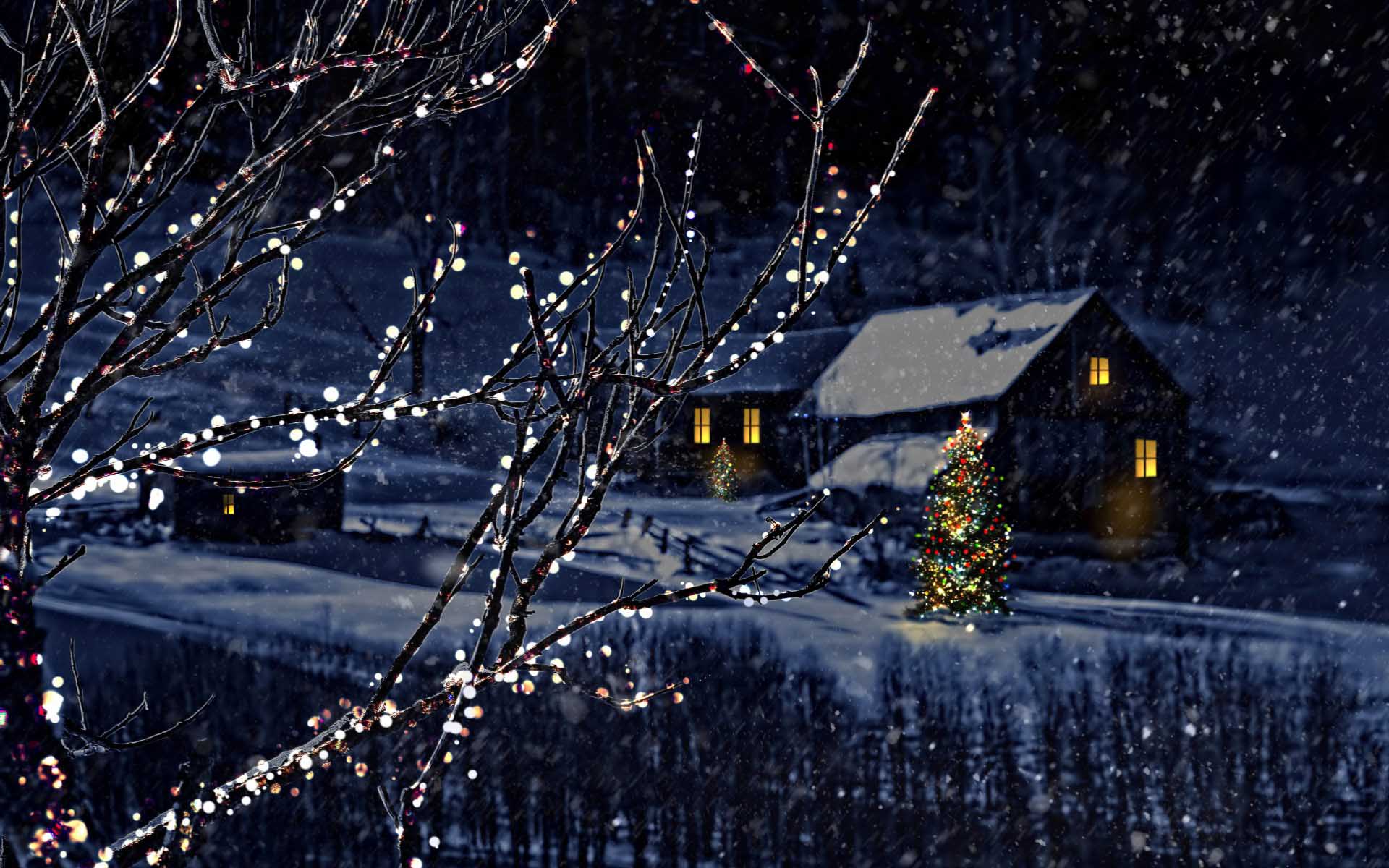 Winter Night Wallpaper Photo