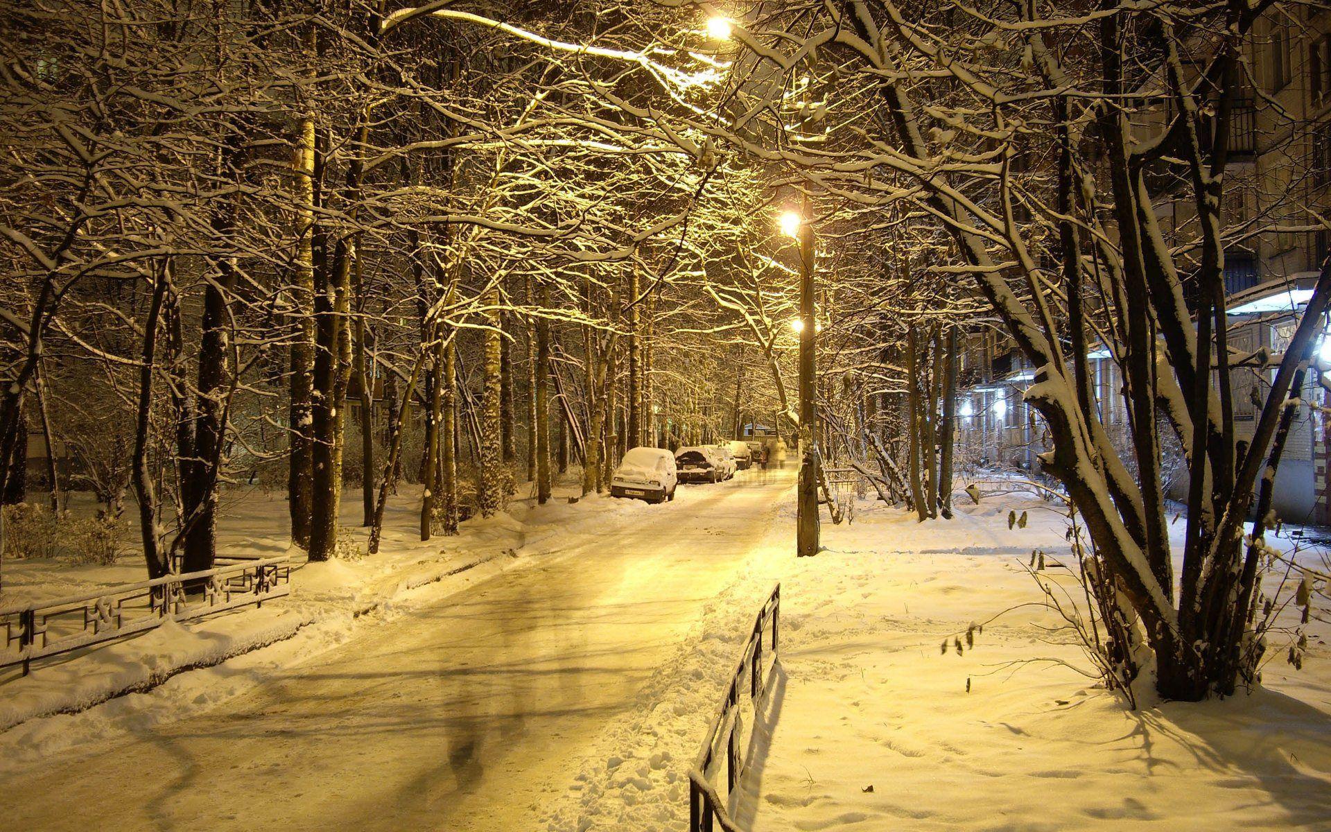 Winter Widescreen Wallpaper