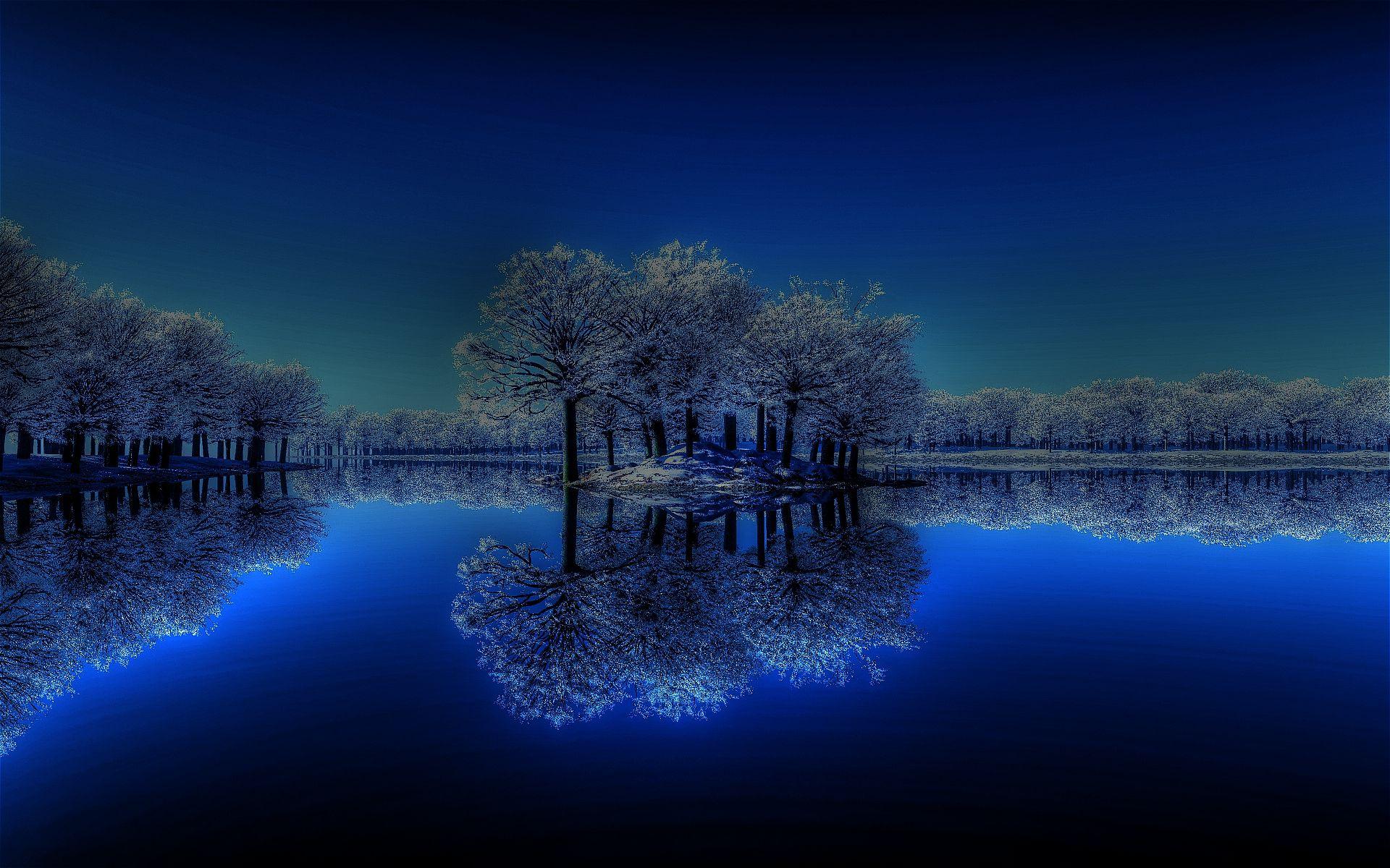 Winter Night Lake Calm Trees HD Wallpaper