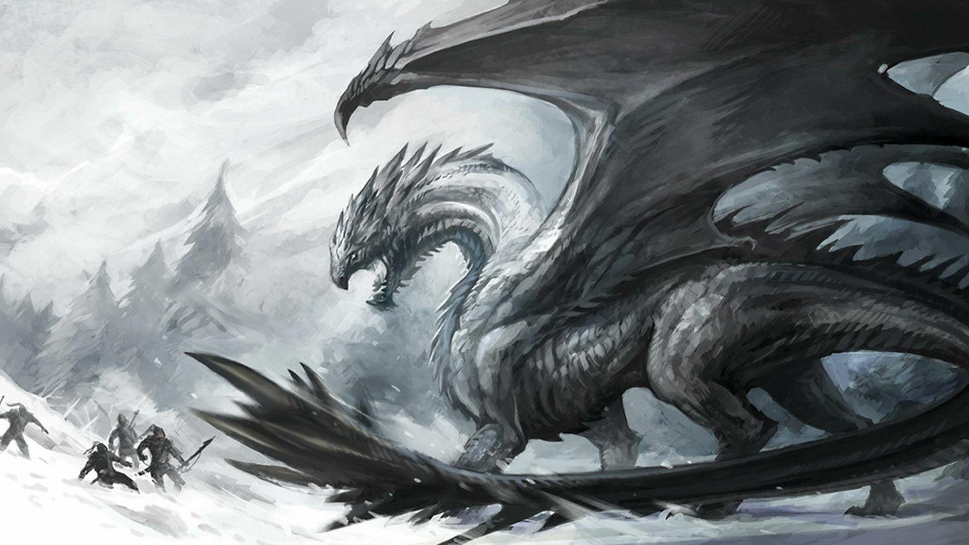 Black White Dragon Desktop Wallpaper