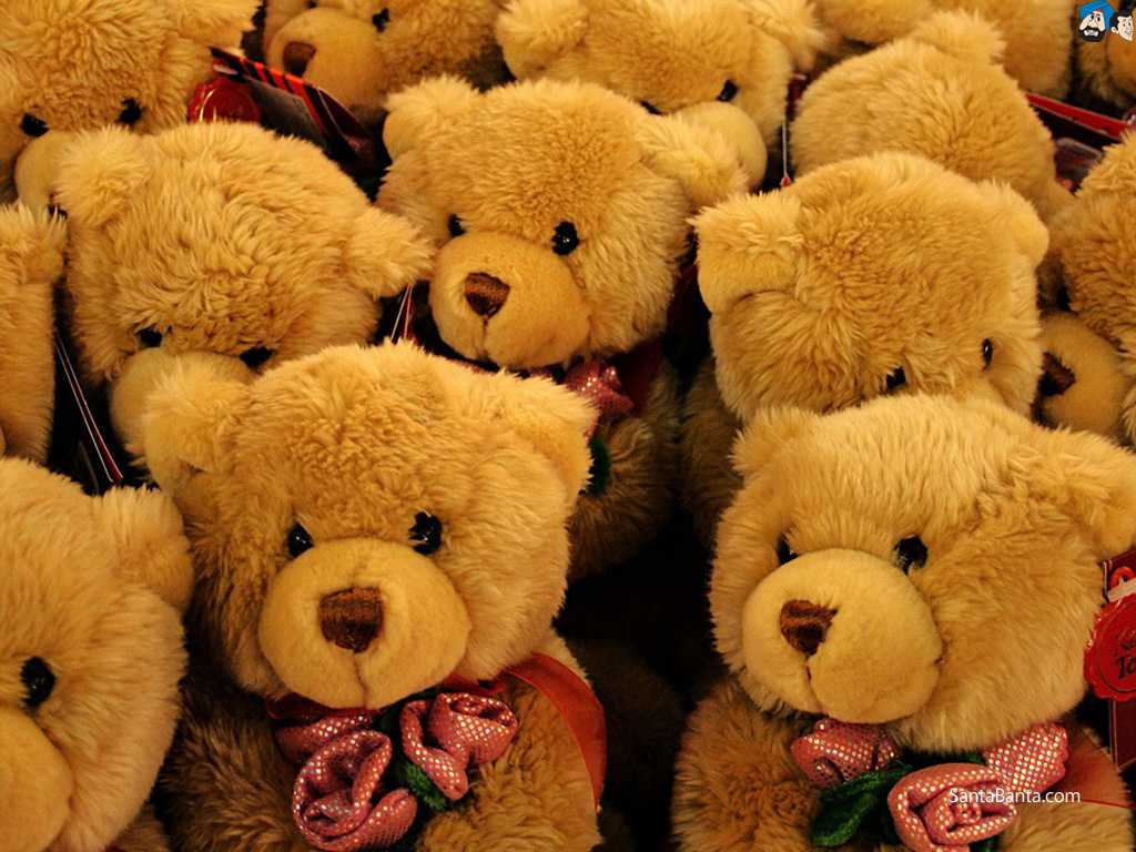 Teddy Bears Wallpaper Photo Picture Of For Smartphone High Quality