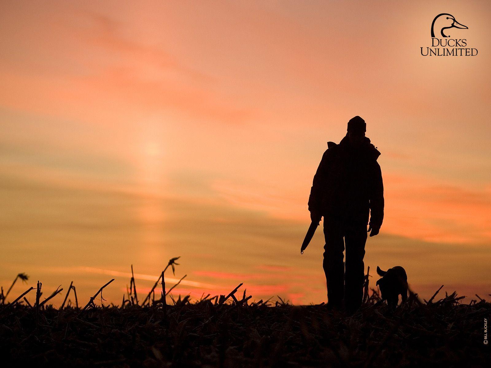 Wallpaper Wiki Duck Hunting HD Image PIC WPD007241 Wallpaper