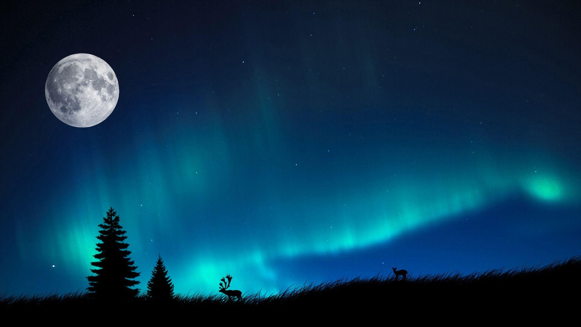 Real Northern Lights Photography HD Wallpaper, Background Image
