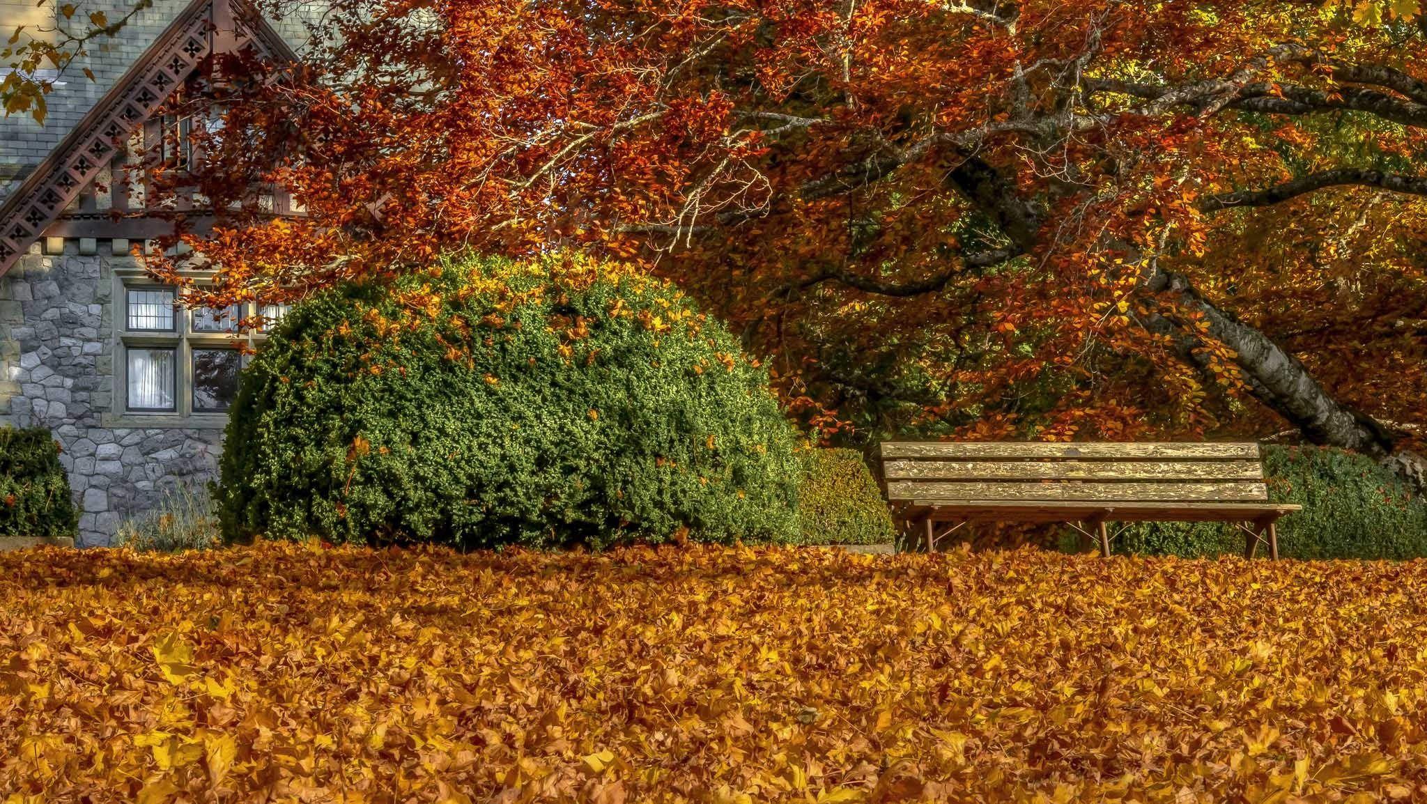 Wallpaper, fall, leaves, bench 2048x1154