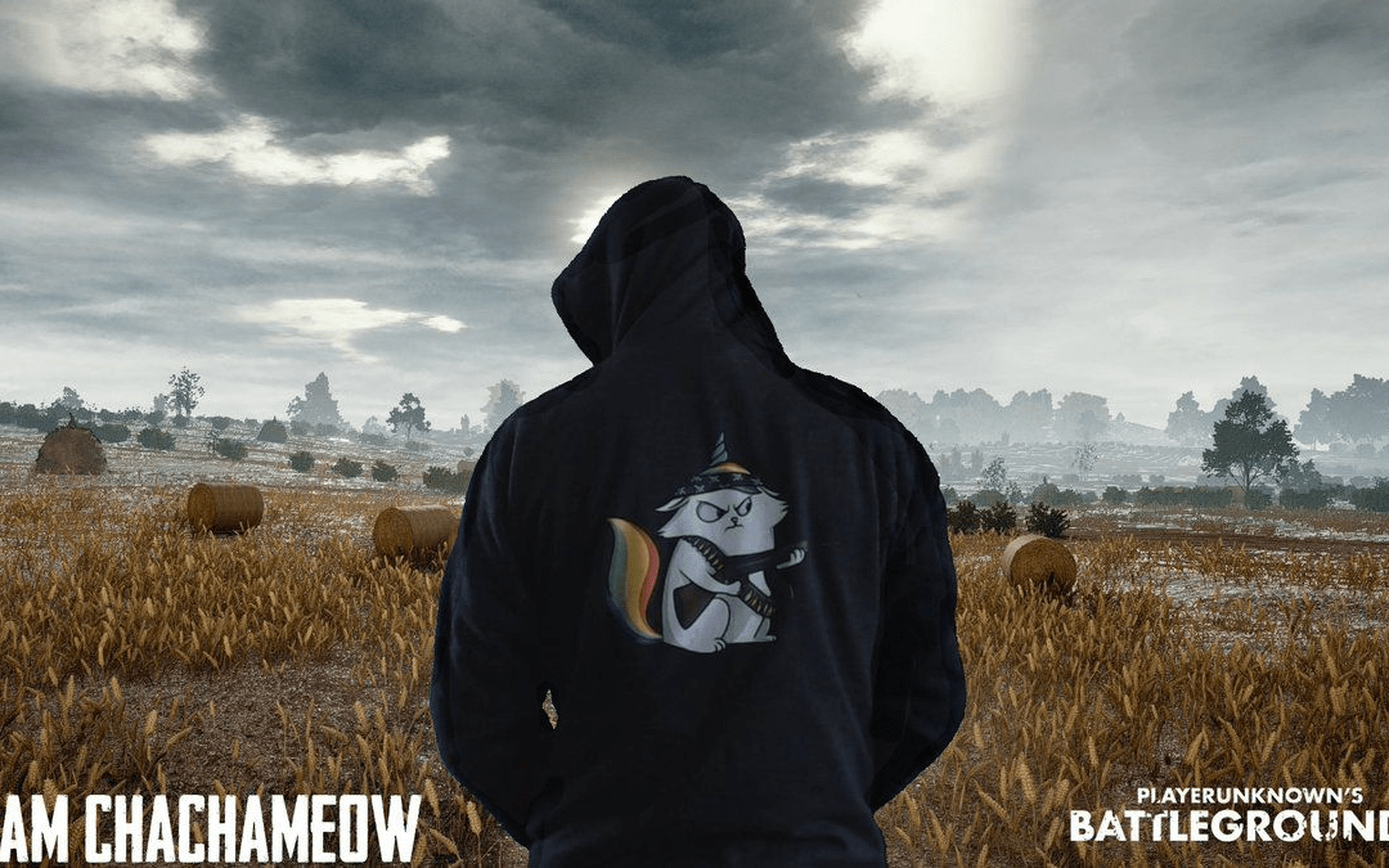 4K Ultra HD 16:10 Team Chachameow Pubg Wallpapers : Games Wallpapers