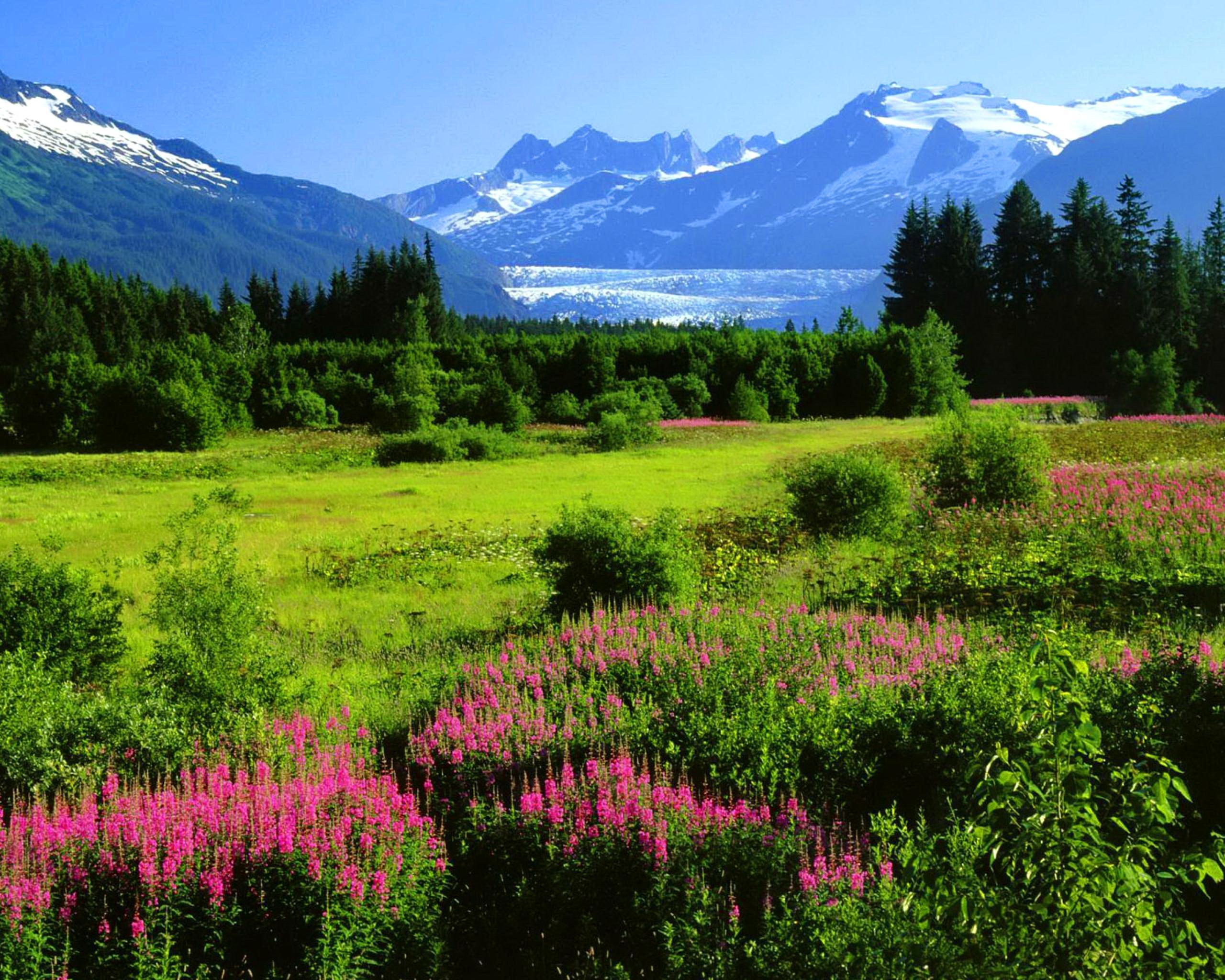 Alaska From A Distance HD desktop wallpaper, Widescreen, High