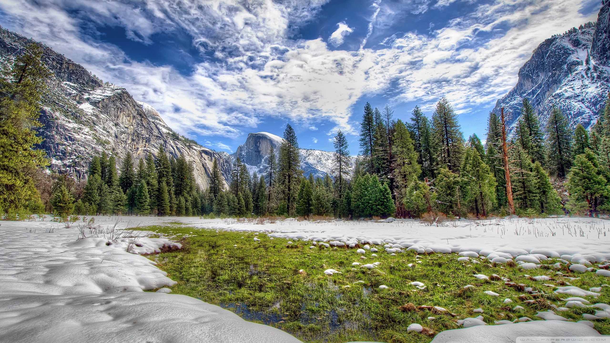 Yosemite Spring Grass ❤ 4K HD Desktop Wallpaper for • Wide & Ultra