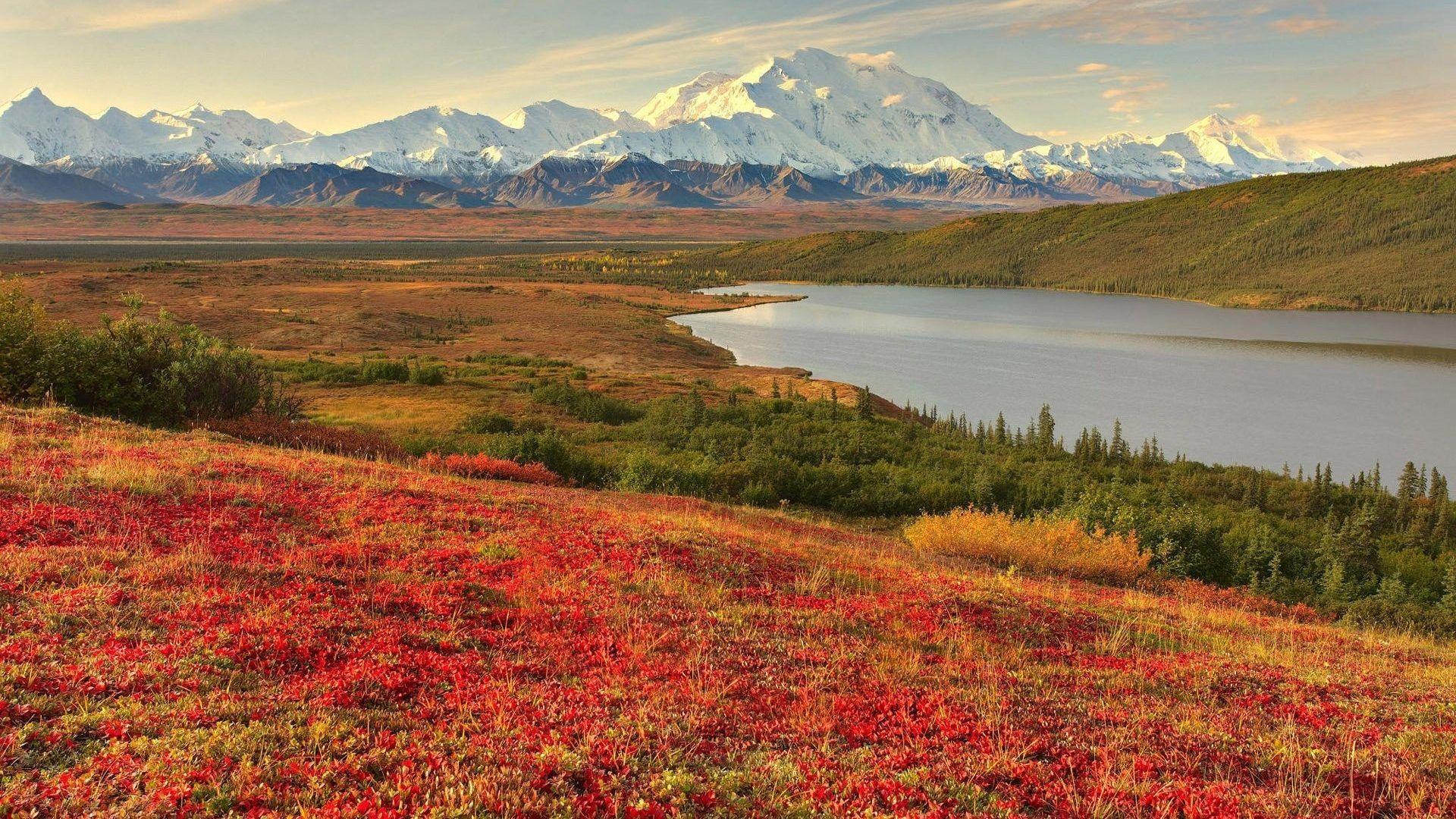 Lakes: Spring Landscape Beauty Alaska Scenery Wallpaper HD Nature