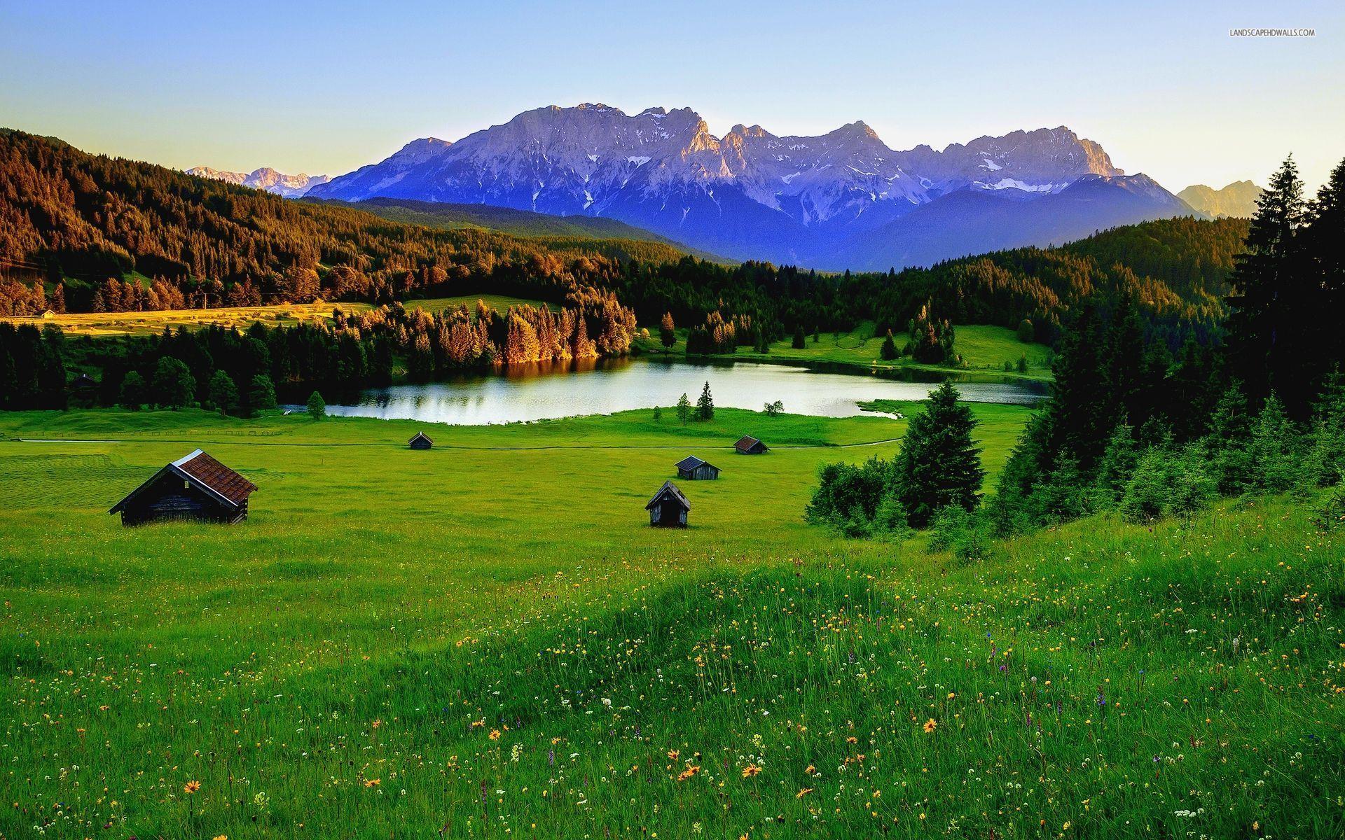 Download Meadow HD Wallpaper for Free, BsnSCB.com