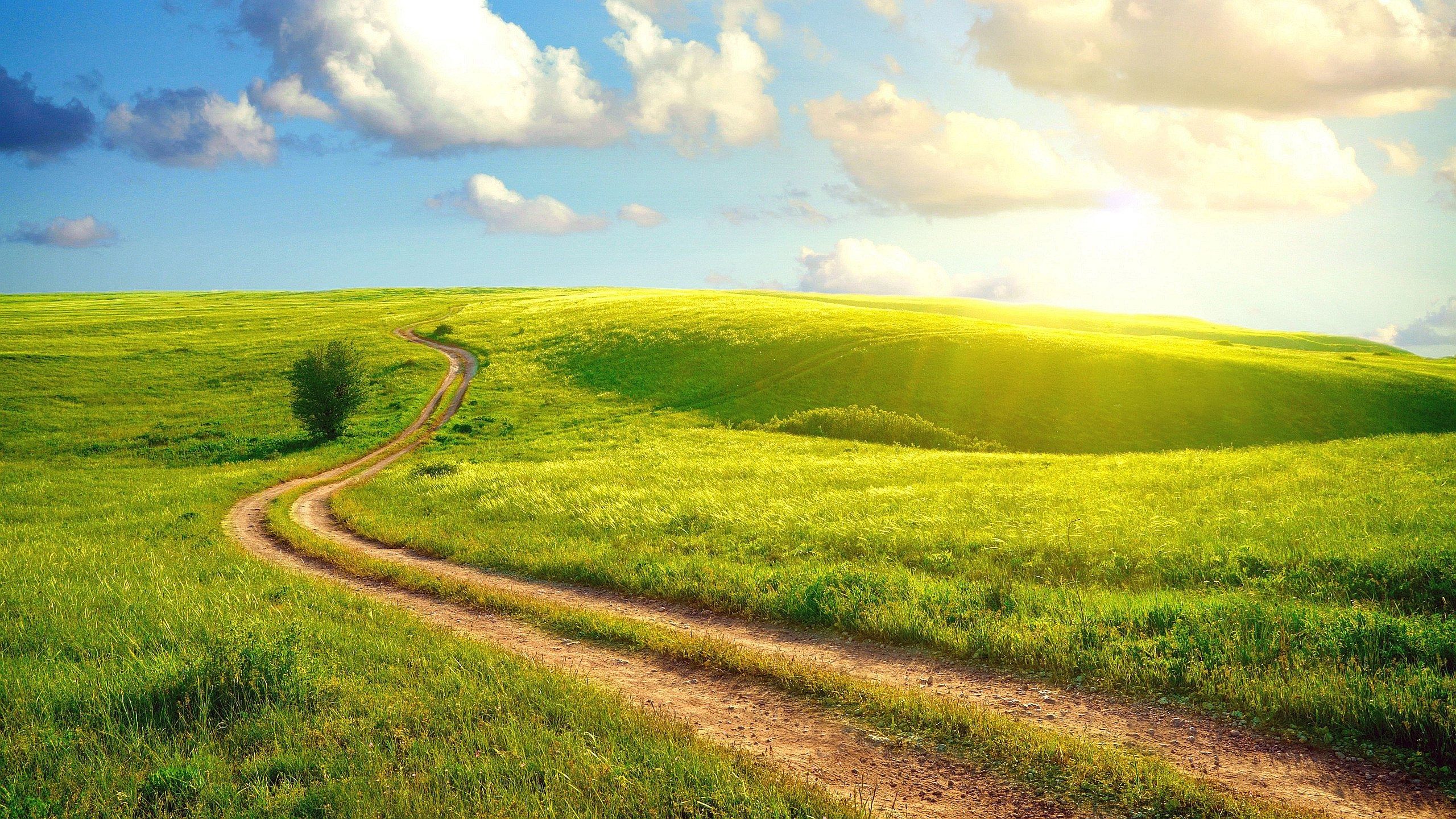 Meadow Wallpapers Wallpaper Cave