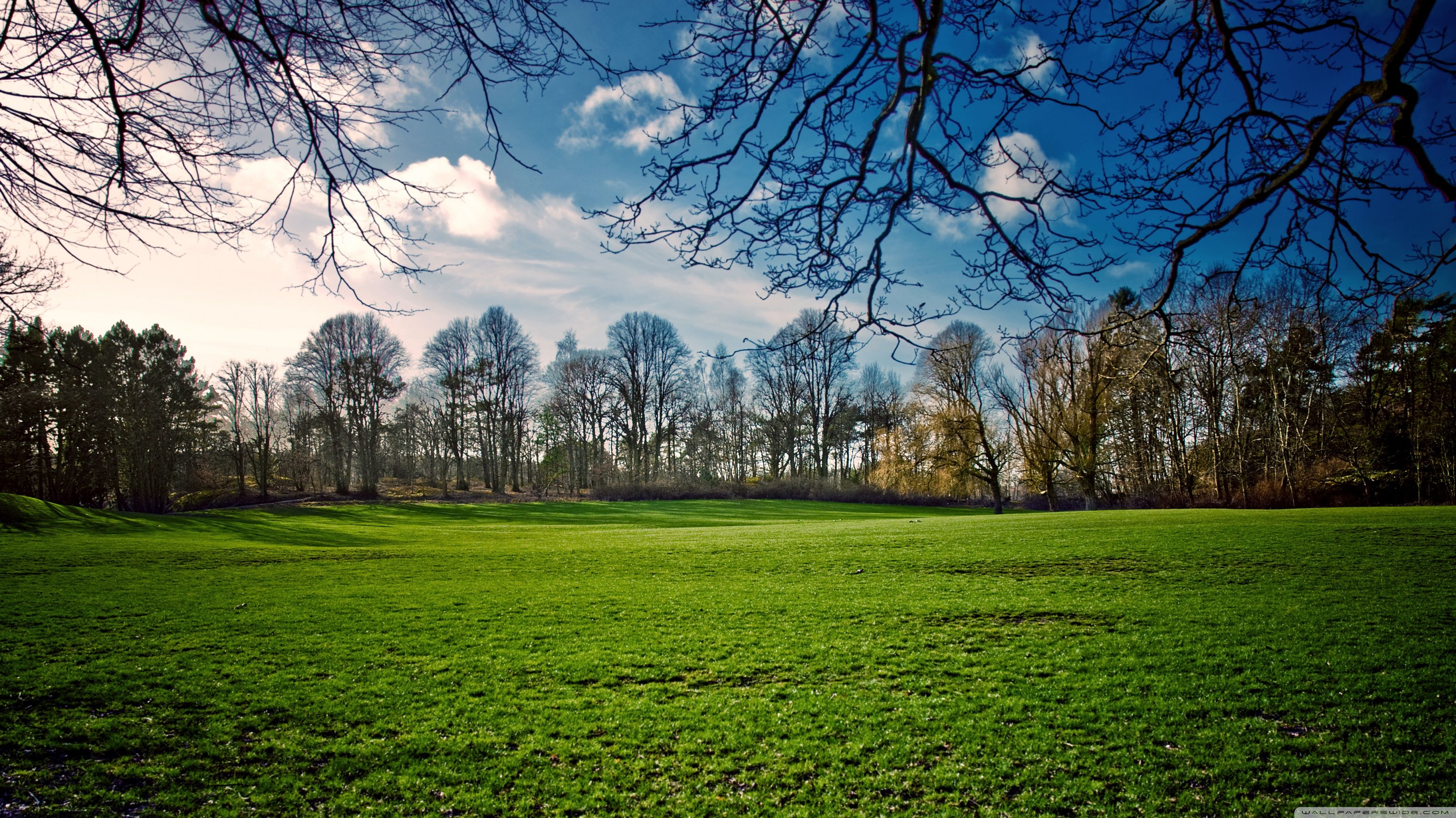 Beautiful Meadow, Spring ❤ 4K HD Desktop Wallpaper for • Dual