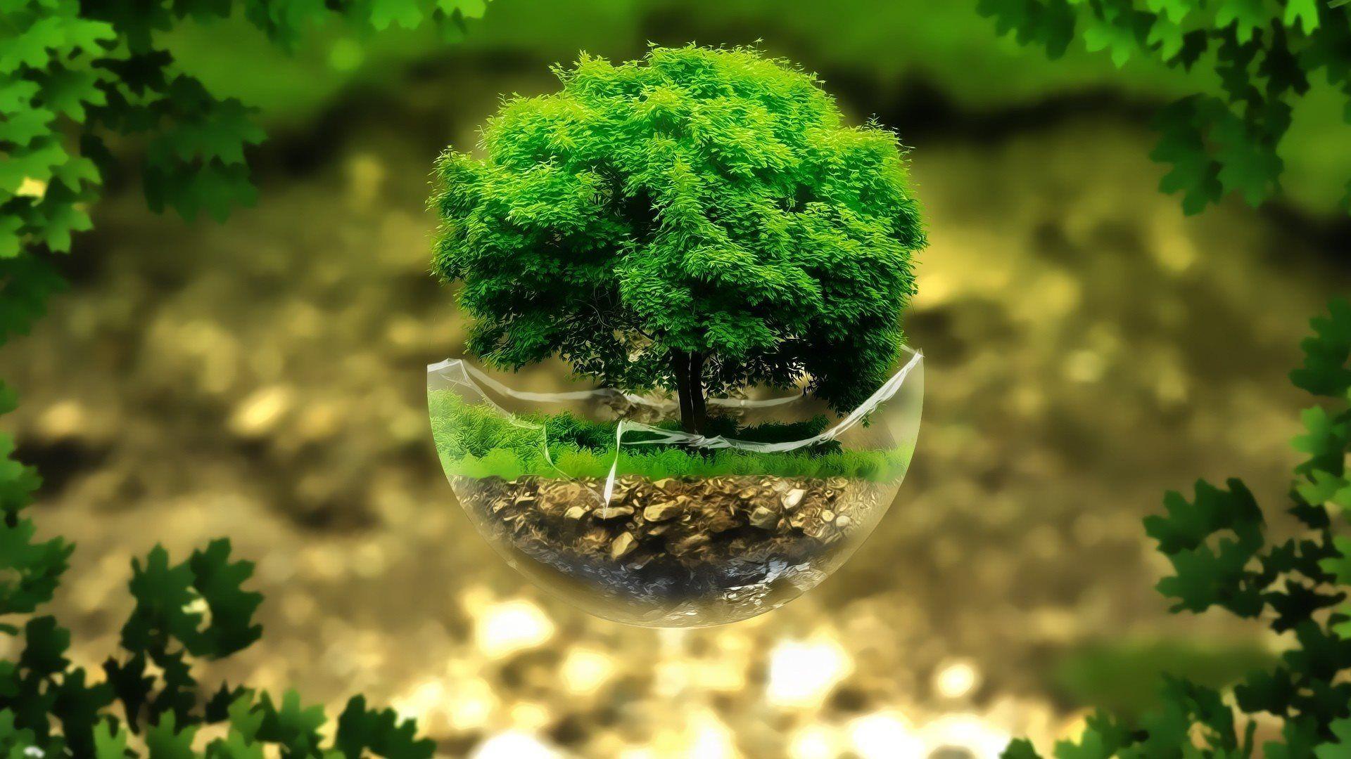 Download wallpaper bonsai, 3D tree, rendering, ecology for desktop