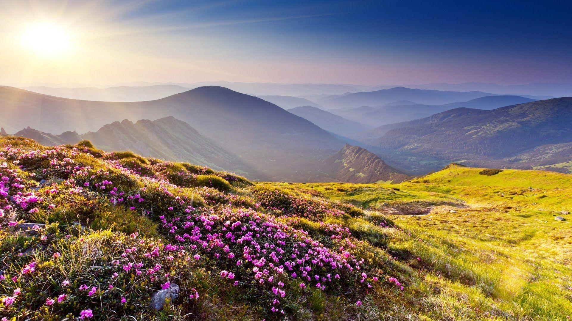Mountains: View Nature Sunlight Meadow Sky Landscapes Plants Hills