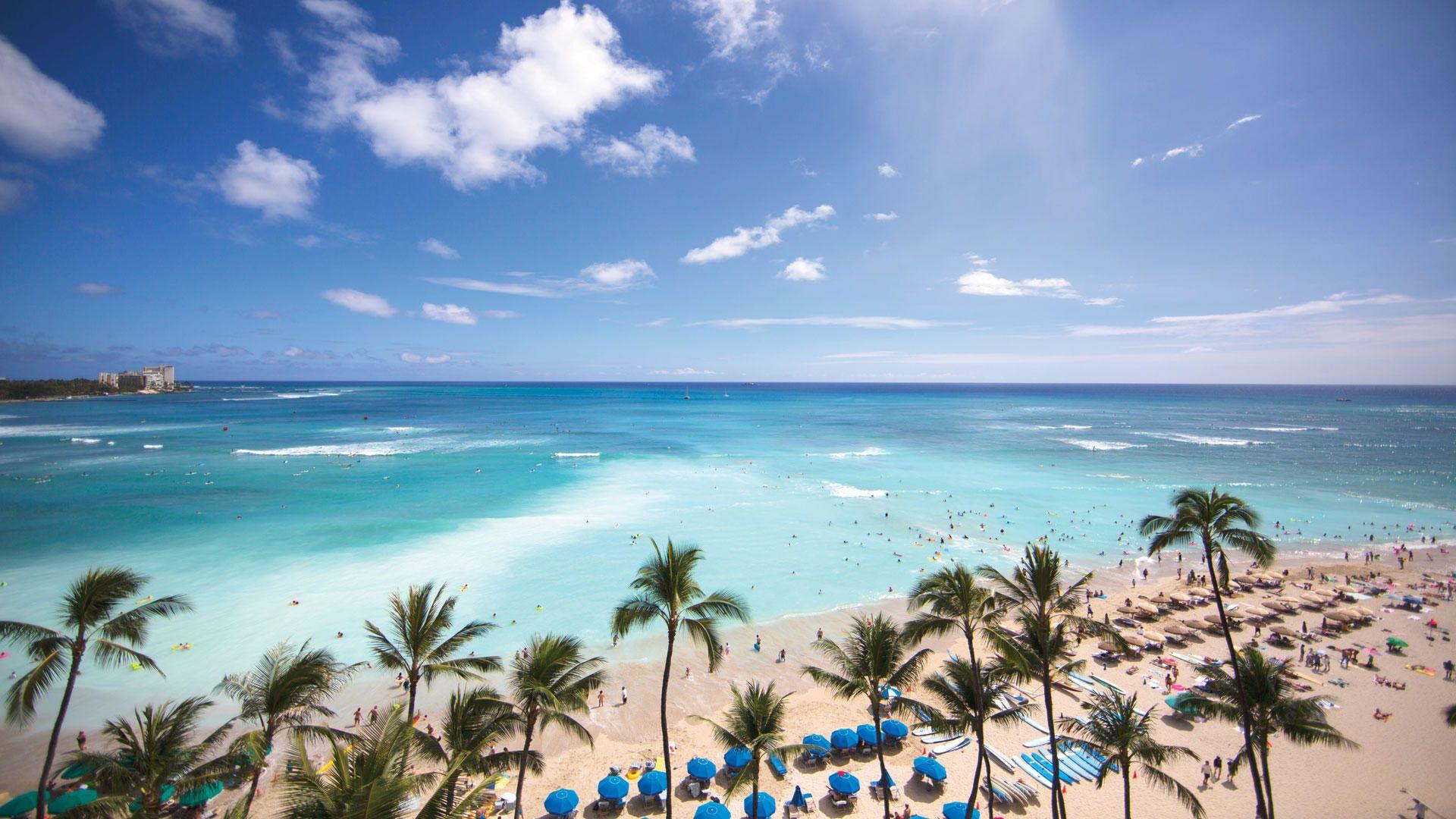 Waikiki Beach Widescreen Image. Beautiful image HD Picture