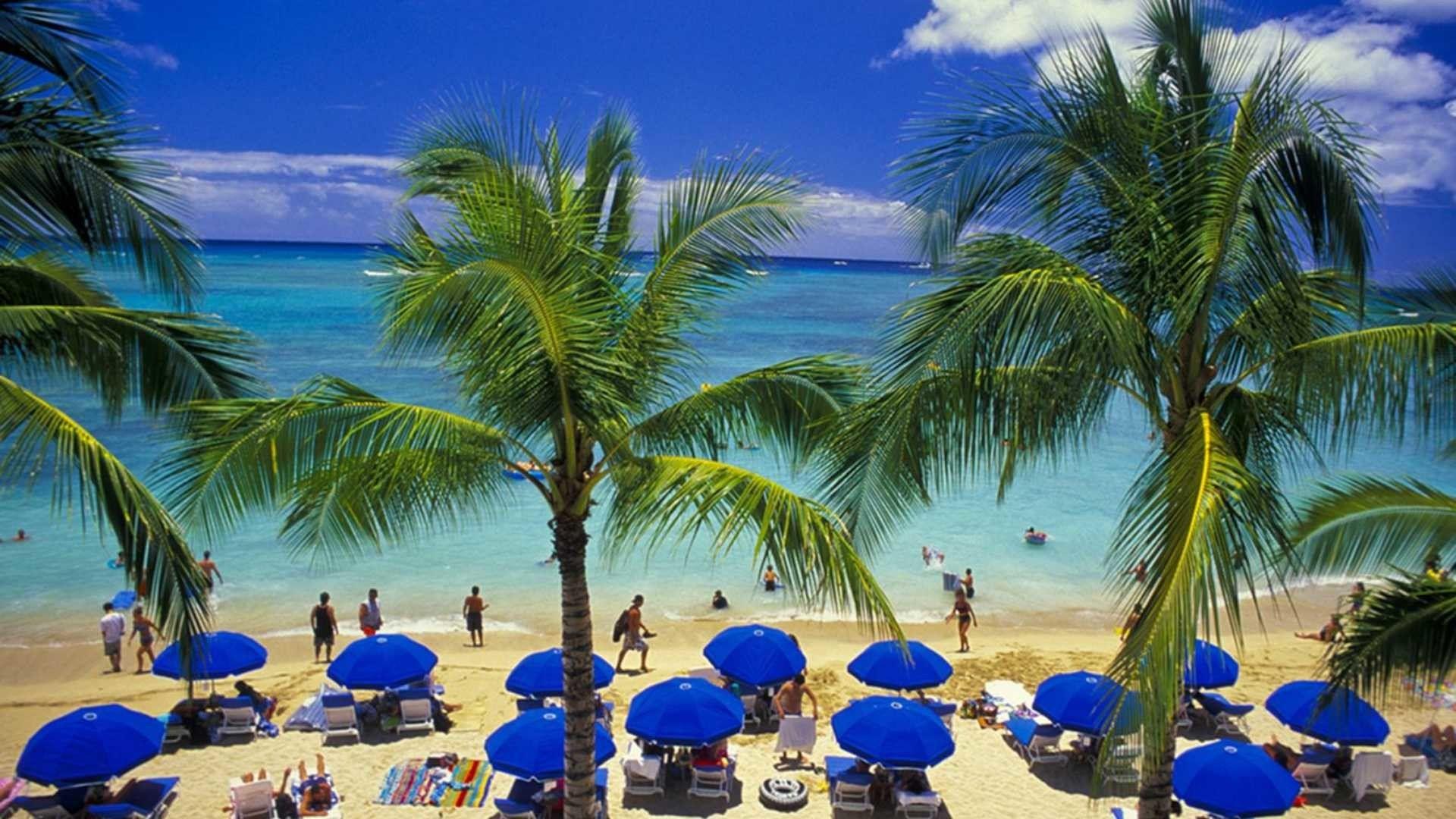 Beautiful Waikiki Beach Background Photo. Beautiful image HD