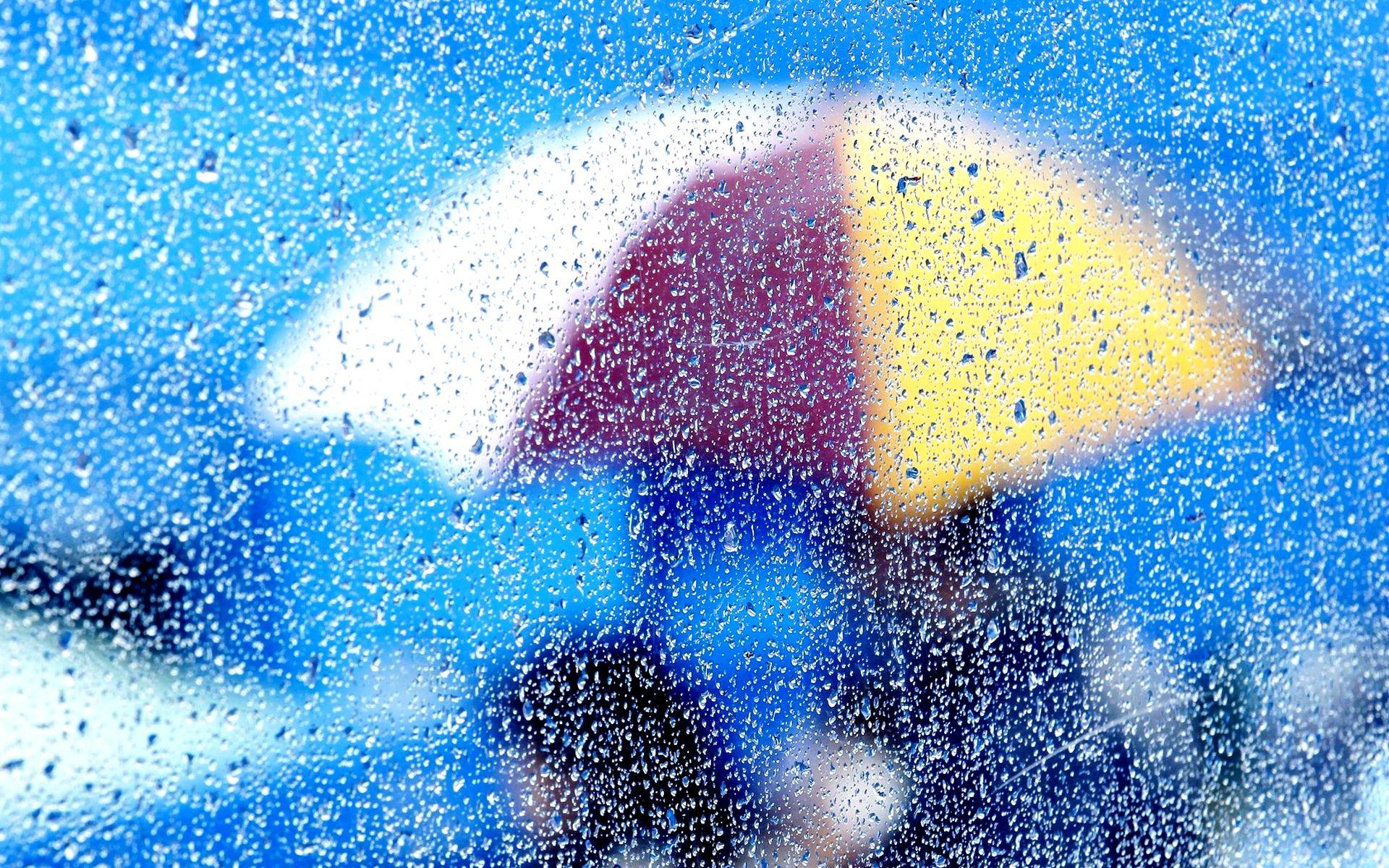 Rainy Day image. Beautiful image HD Picture & Desktop Wallpaper