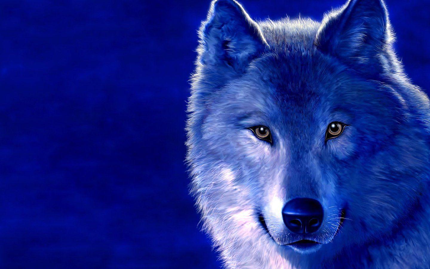 Download wallpaper: ice wolf, photo, Wolves, wallpaper for desktop
