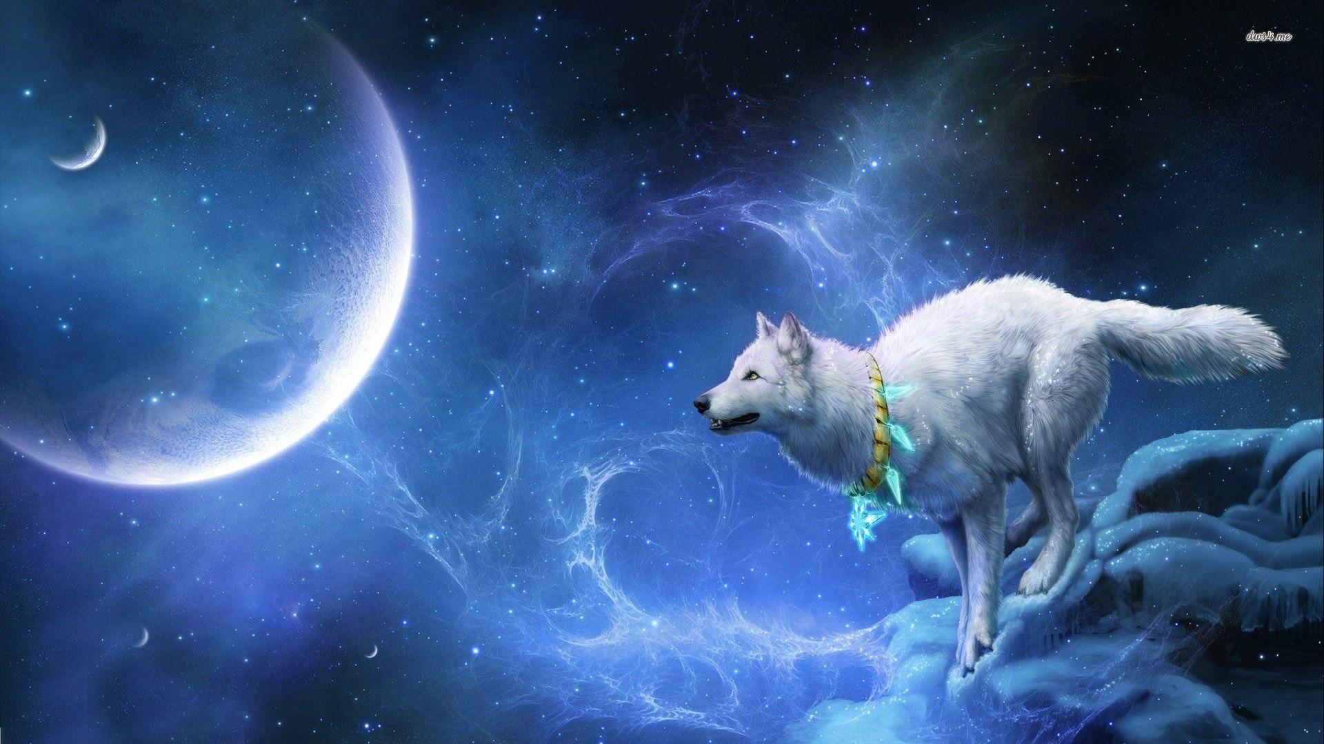 Wolf in space wallpaper Art wallpaper