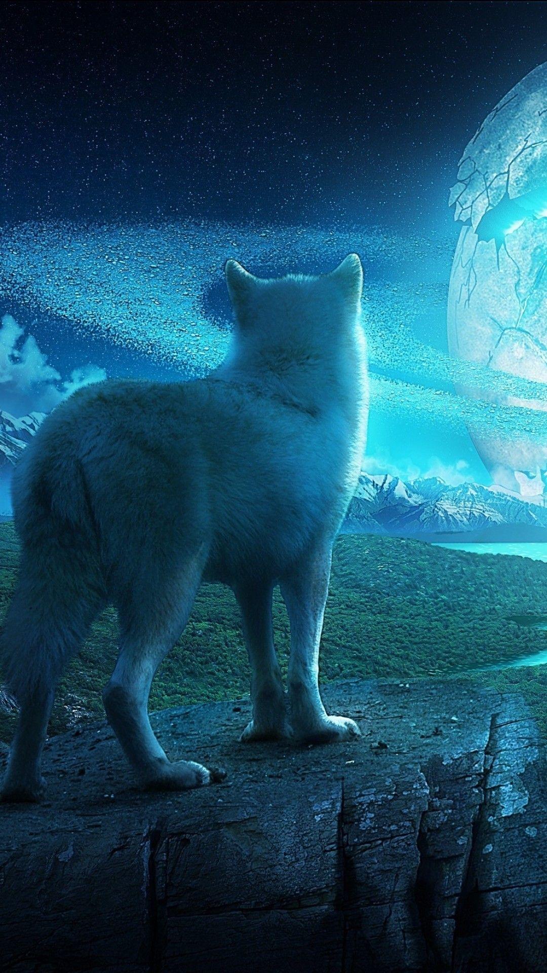 Wolf Wallpaper for iPhone 22 HD Wallpaper Free