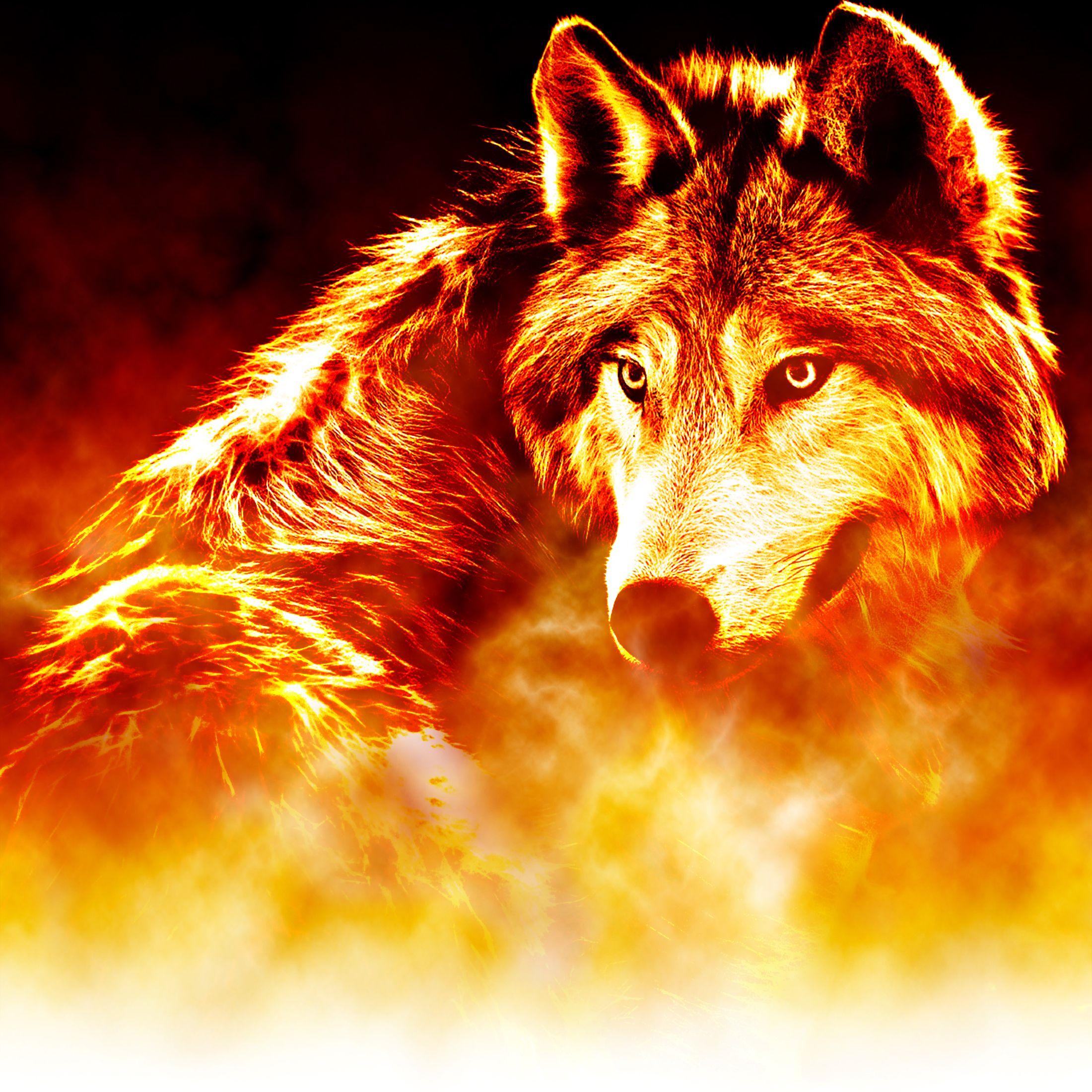 Fire Wolf Wallpaper