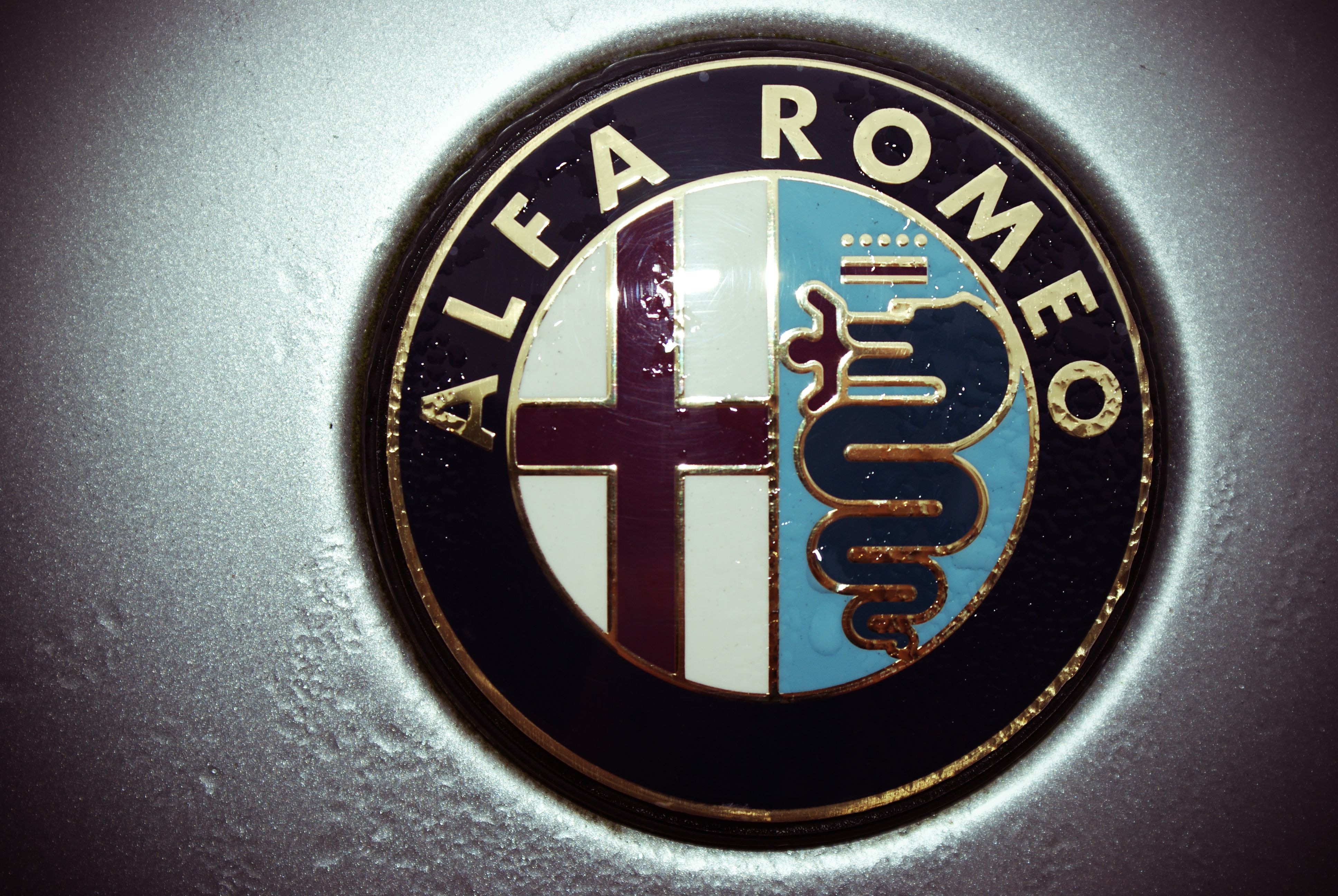 alfa romeo logo wallpaper