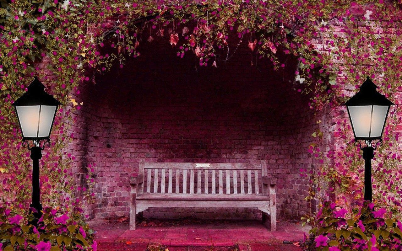 Bench HD Wallpaper. Spring garden flowers, Pink garden, Night garden